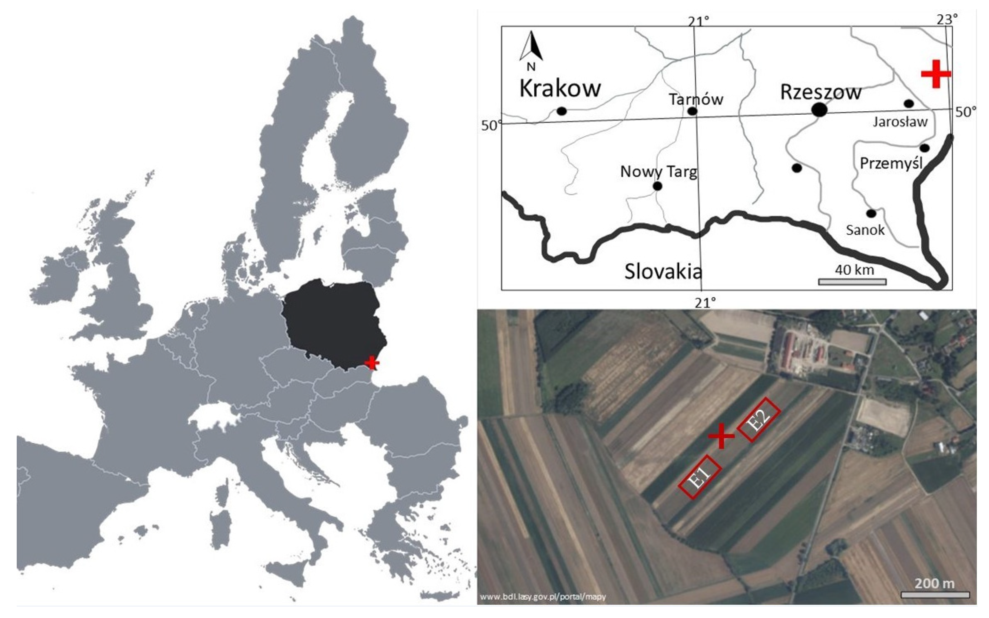 Agronomy 12 00379 g001 550