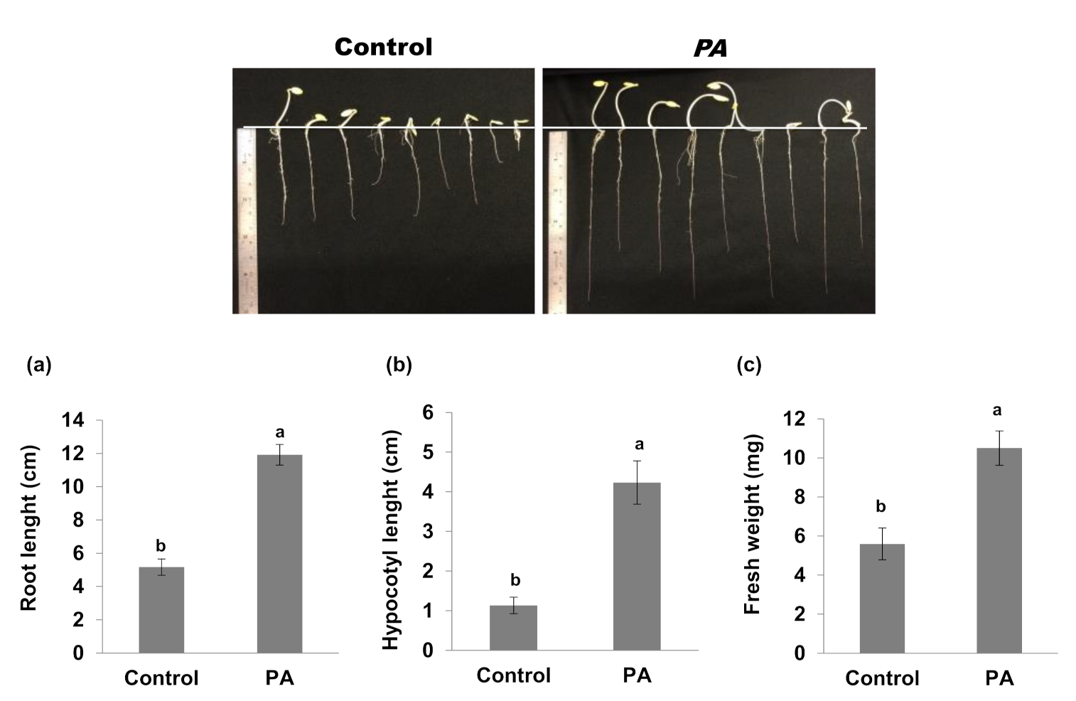 Agronomy 12 00383 g002