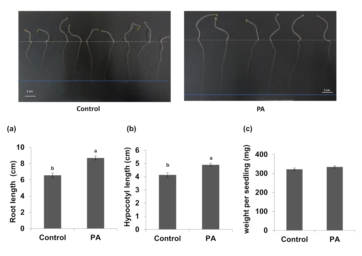 Agronomy 12 00383 g003