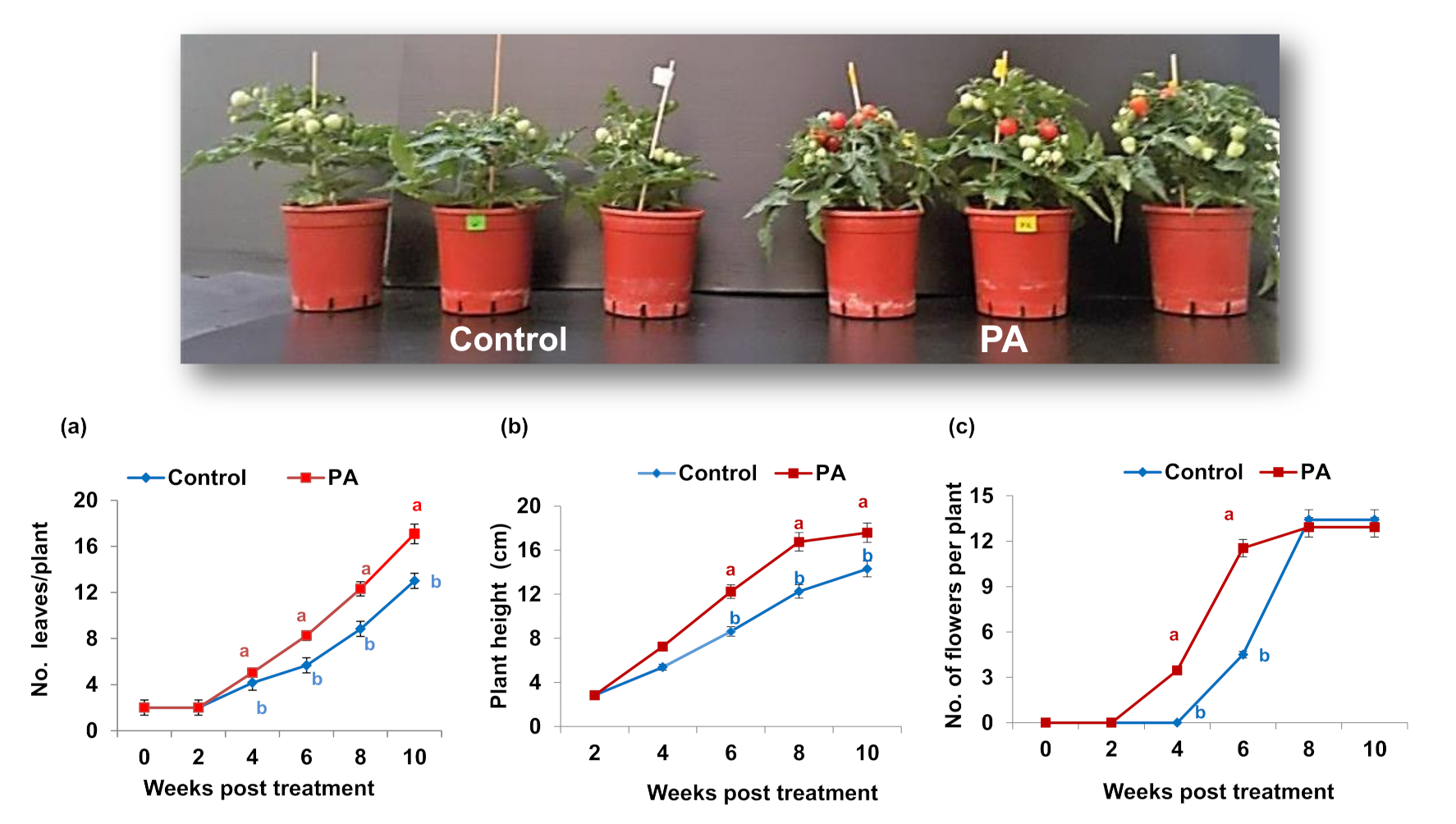 Agronomy 12 00383 g004