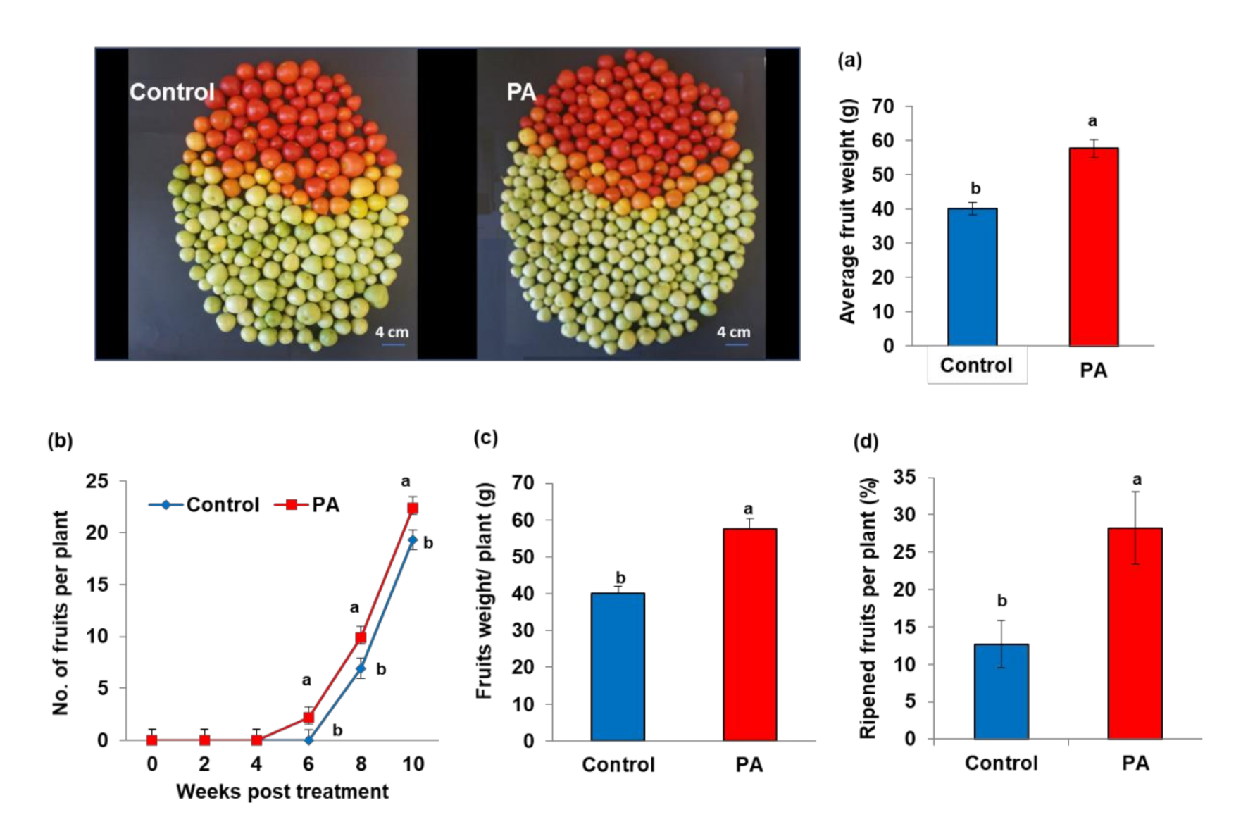 Agronomy 12 00383 g005