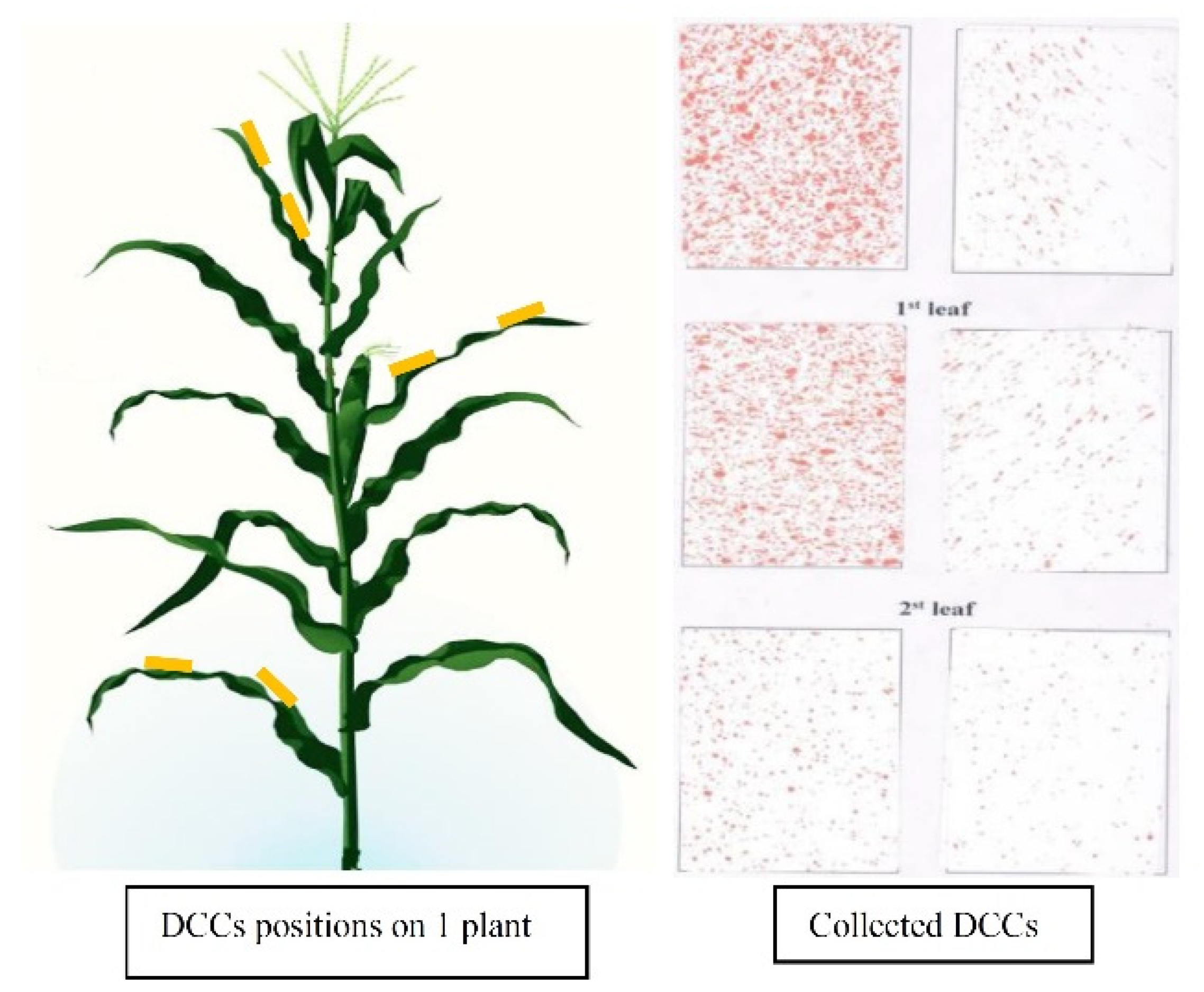 Agronomy 12 00385 g002 550