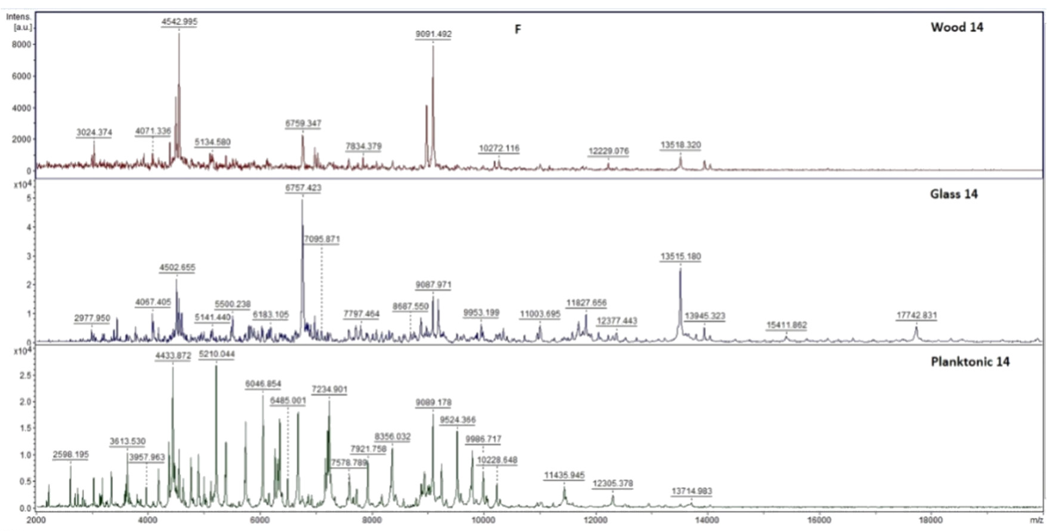 Agronomy 12 00387 g0a1c