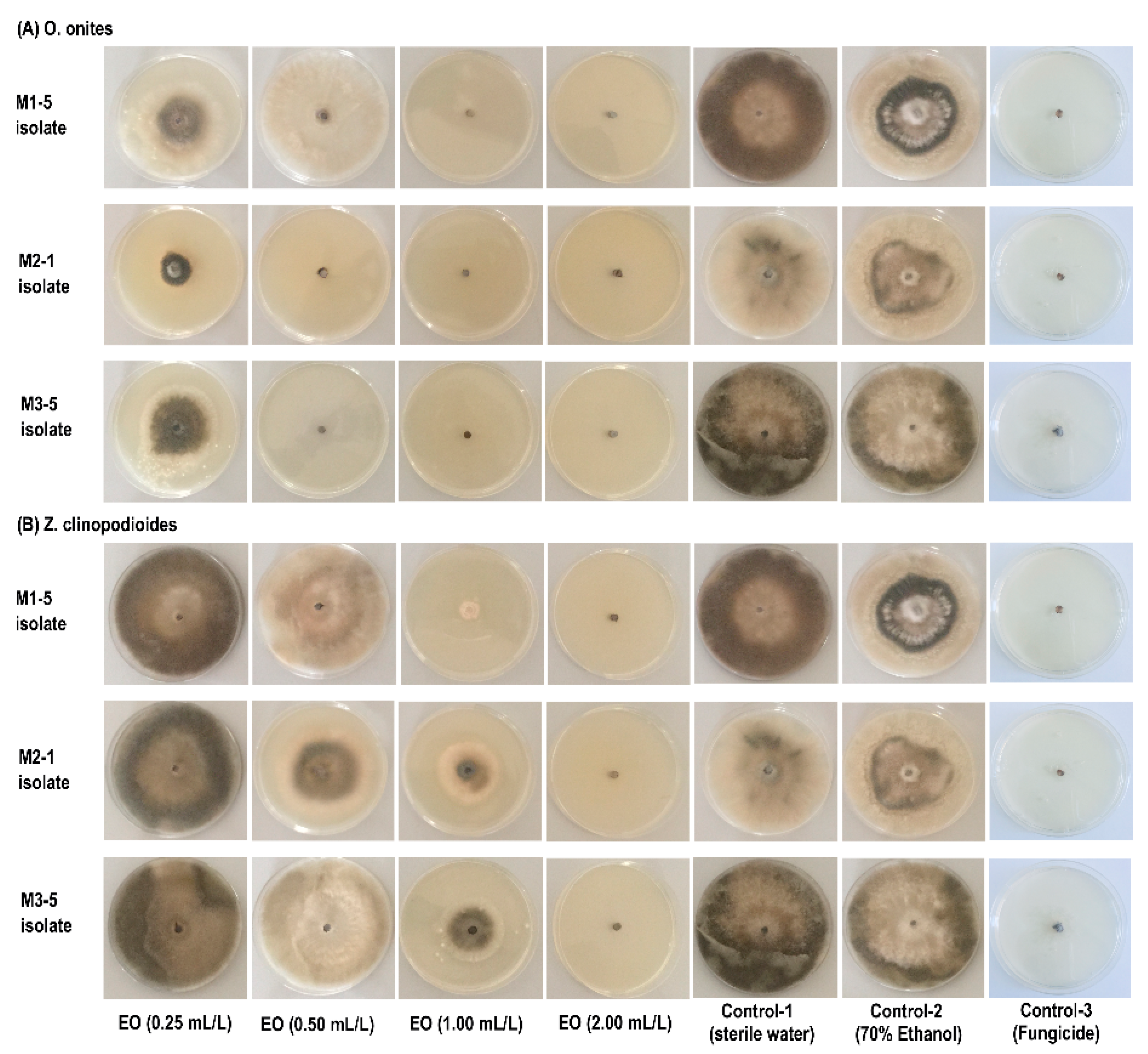 Agronomy 12 00389 g001 550