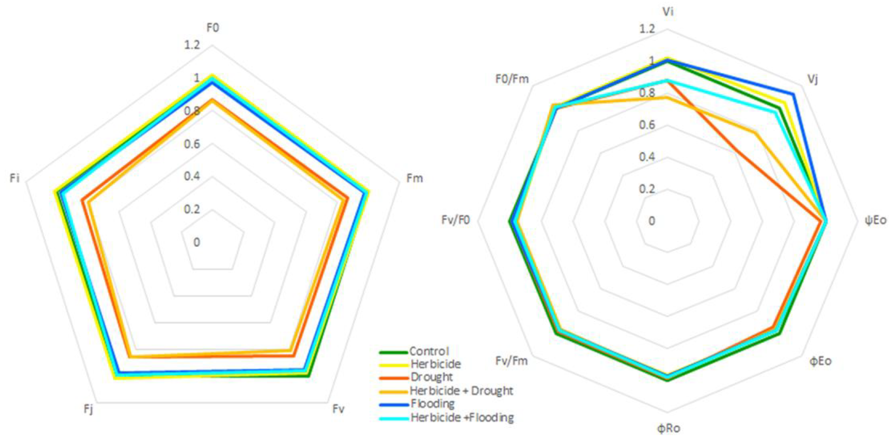 Agronomy 12 00390 g005 550