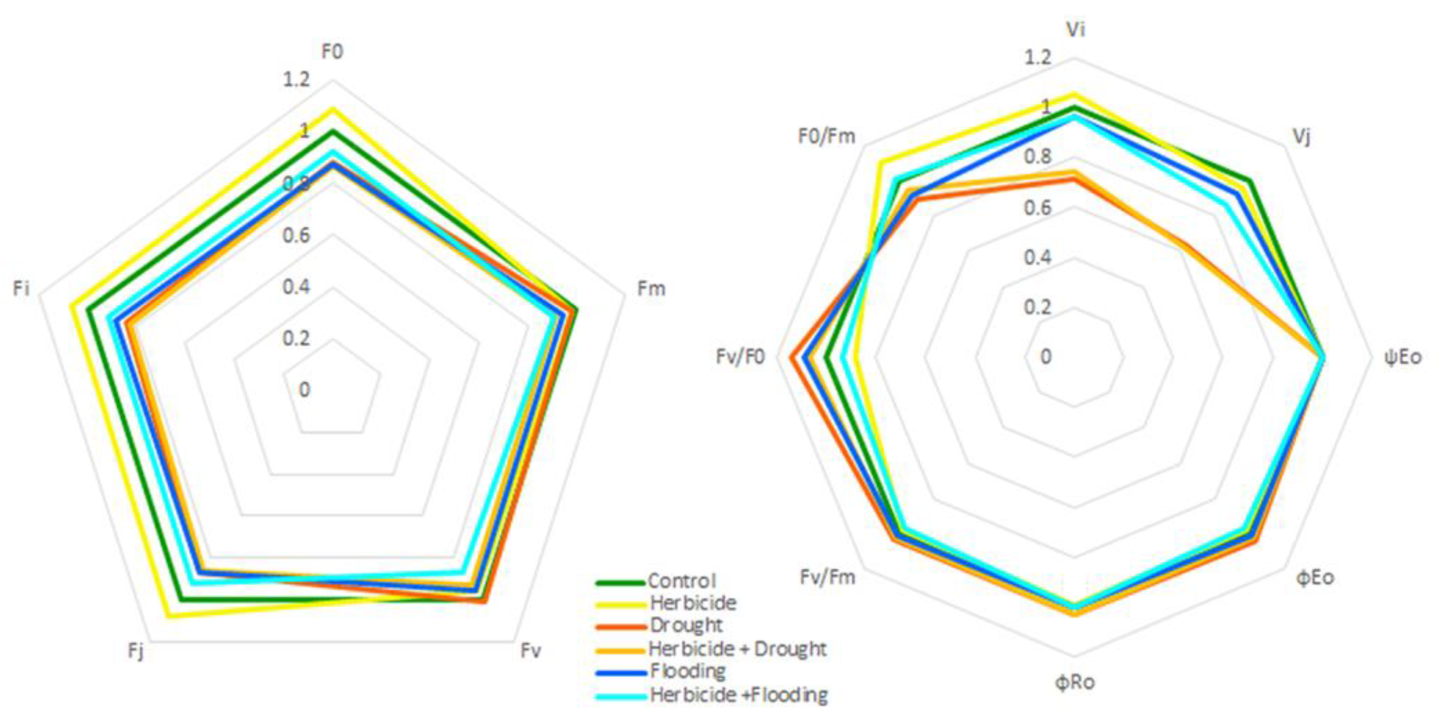 Agronomy 12 00390 g007 550