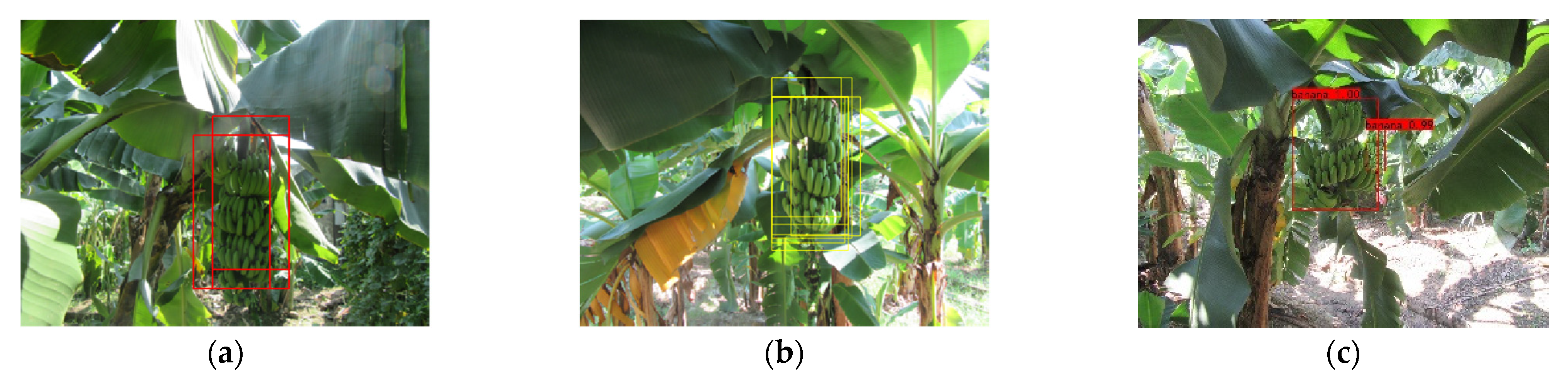 Agronomy 12 00391 g001