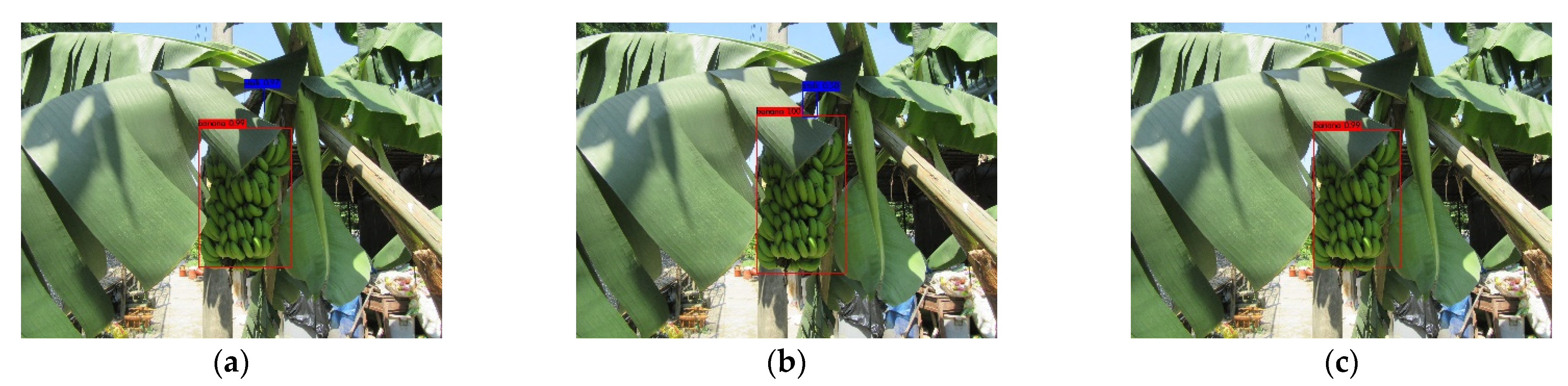 Agronomy 12 00391 g011