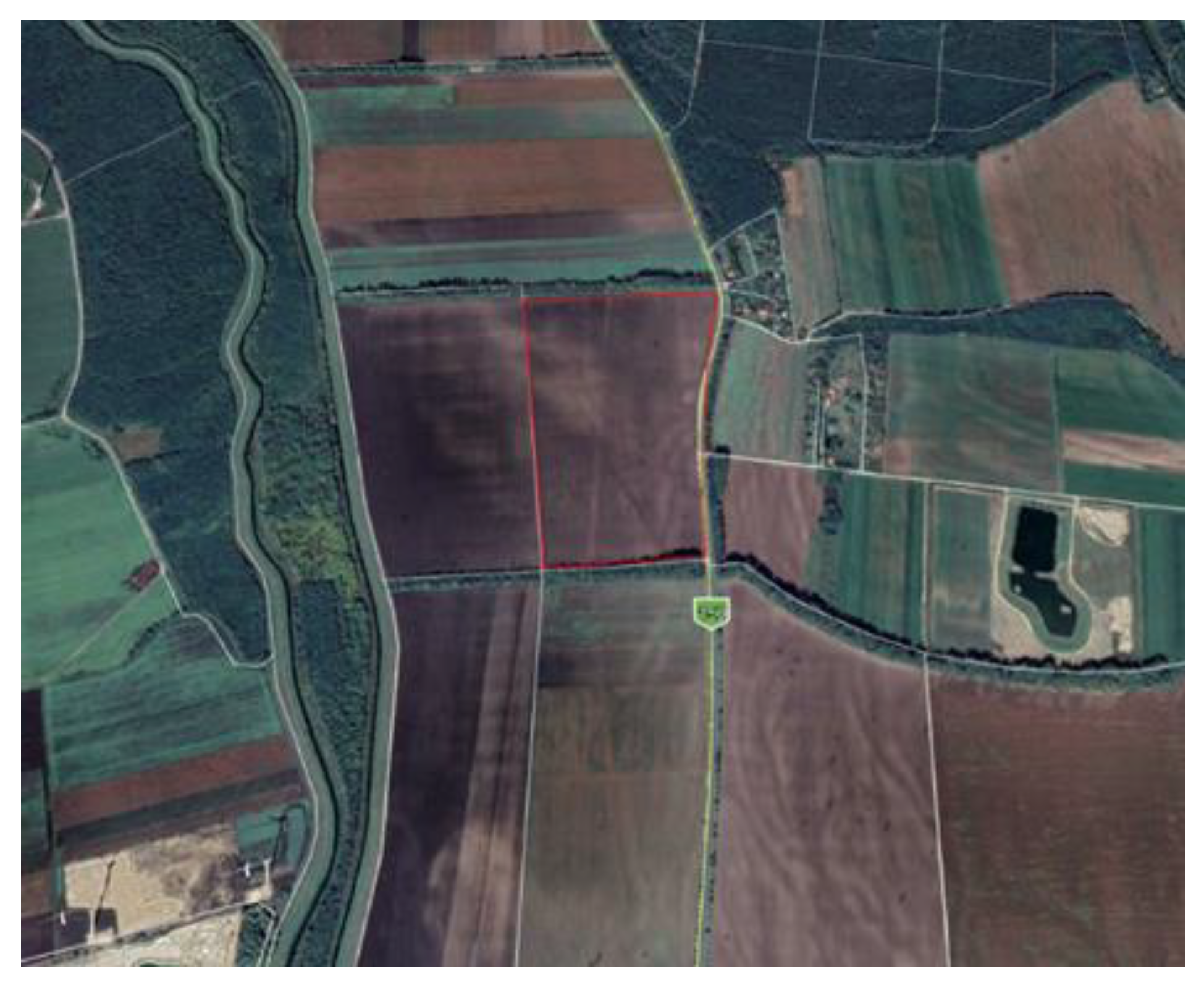 Agronomy 12 00395 g001