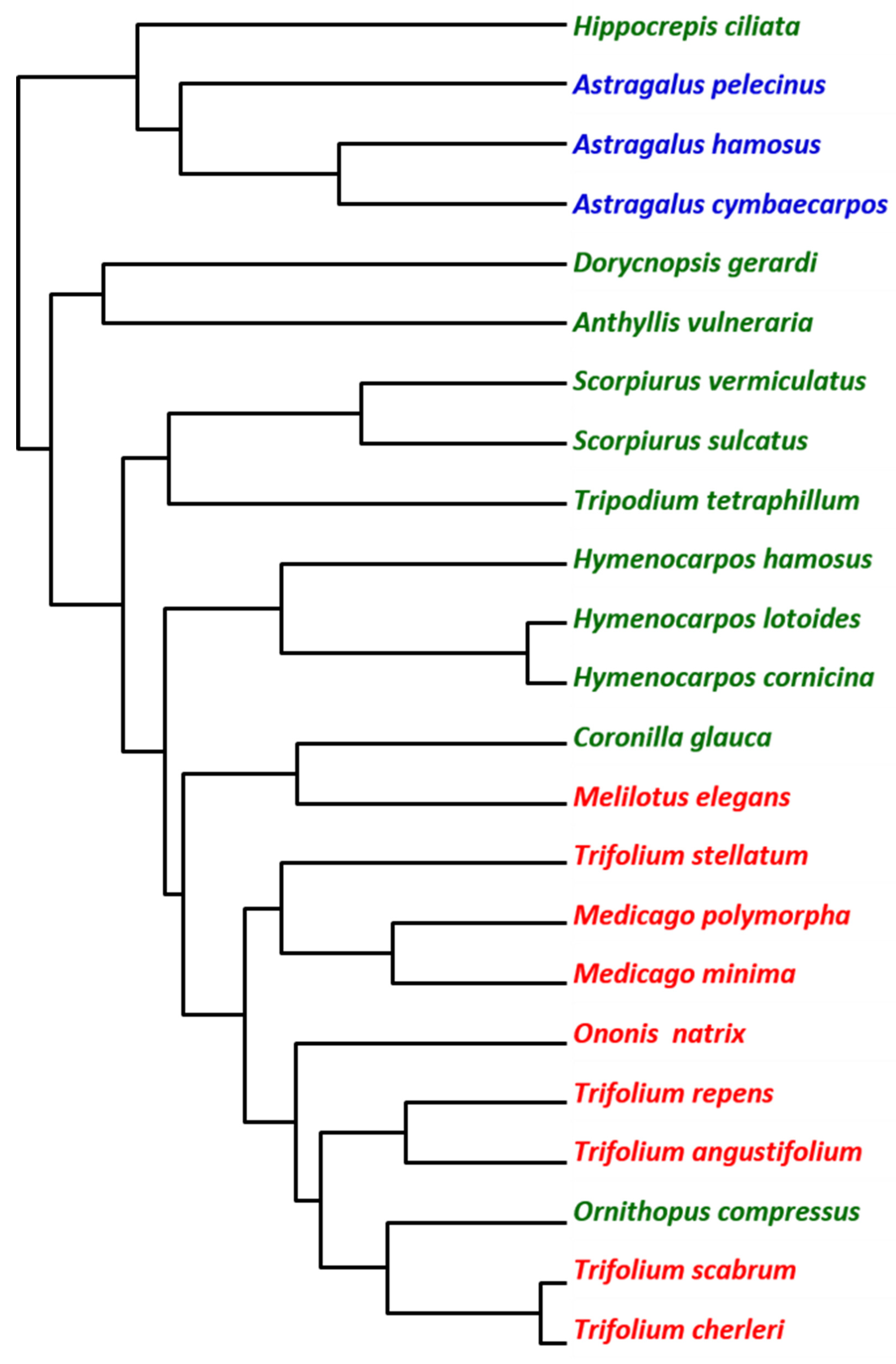 Agronomy 12 00400 g002