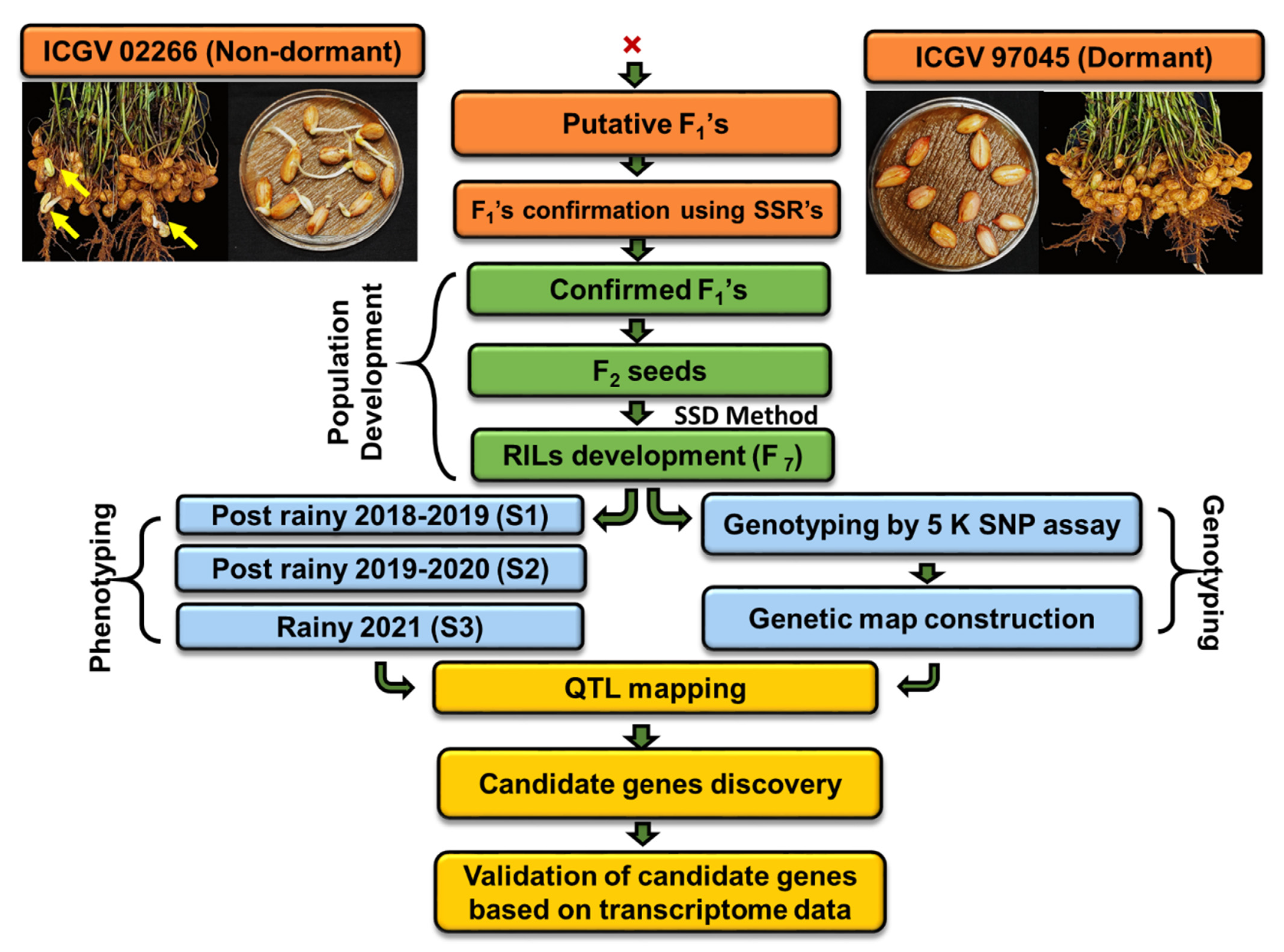Agronomy 12 00404 g001 Agronomy 12 00404 g001