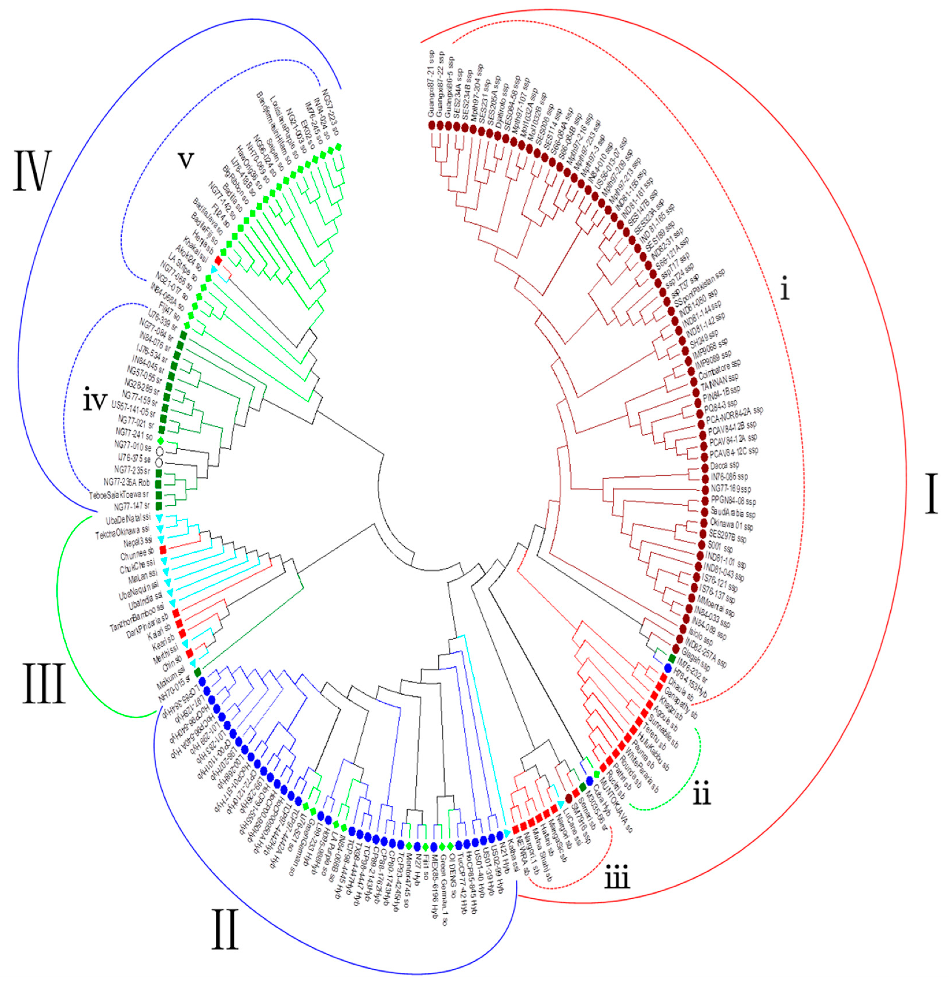 Agronomy 12 00412 g002
