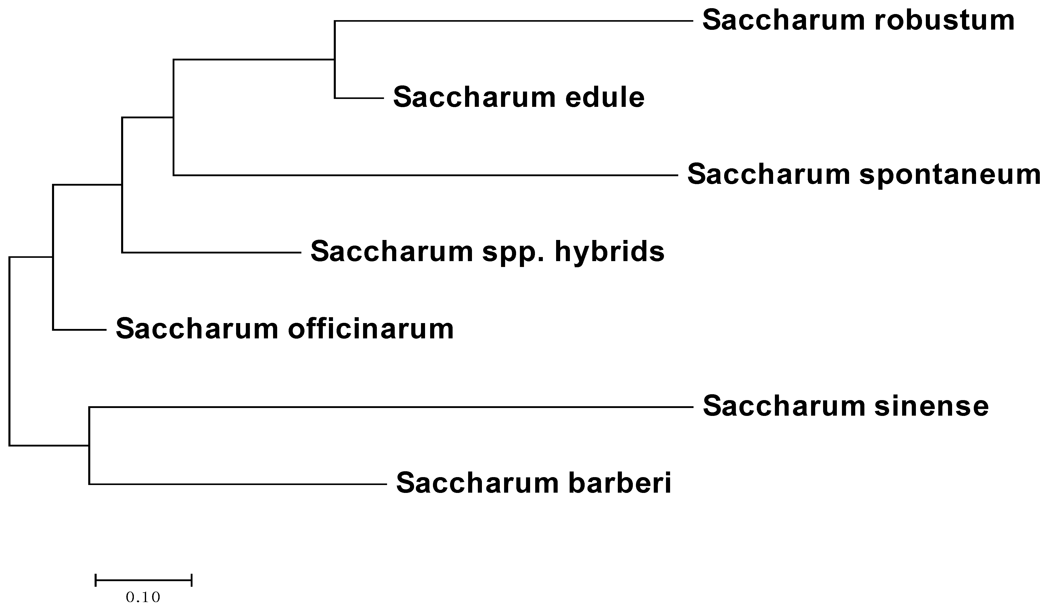 Agronomy 12 00412 g003