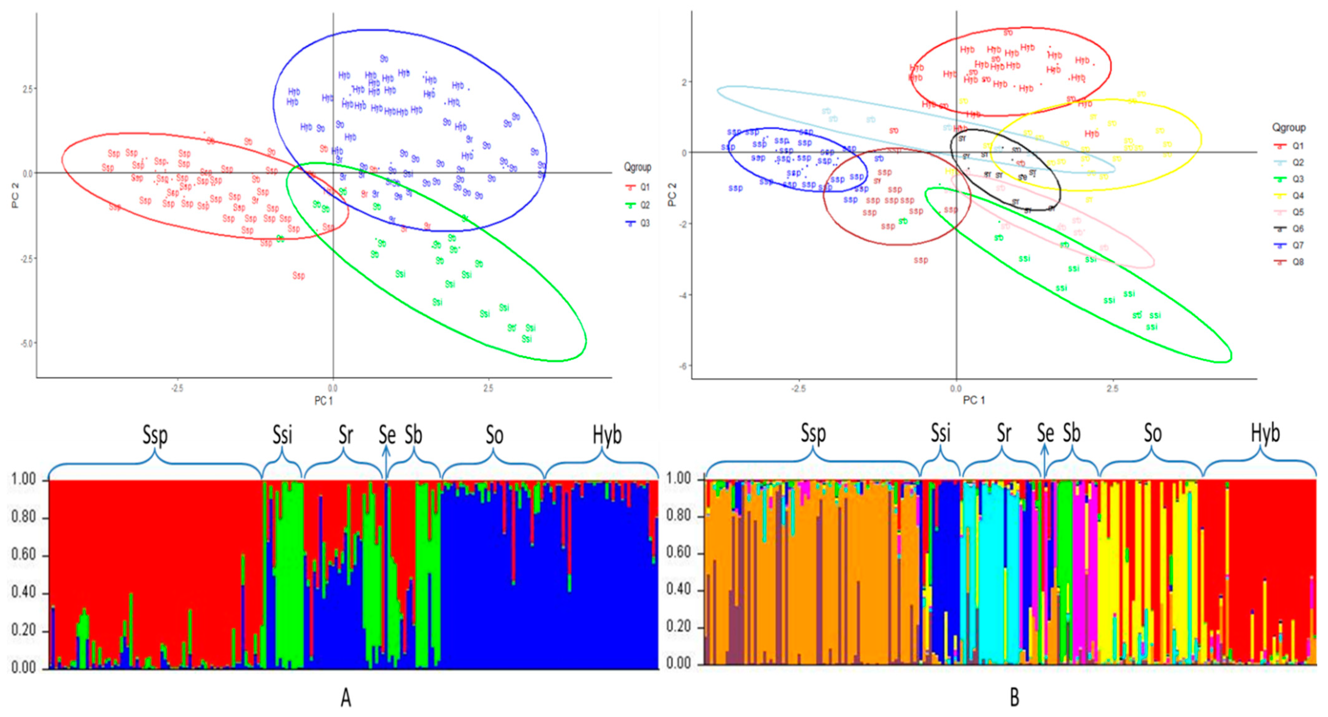 Agronomy 12 00412 g004