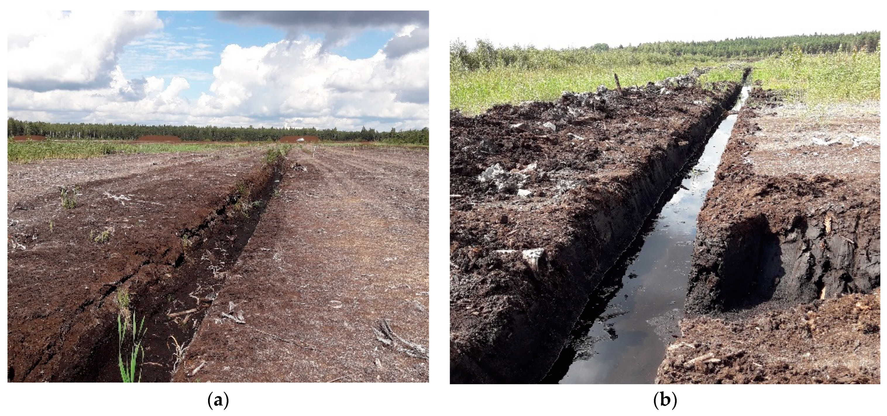 Agronomy 12 00421 g001