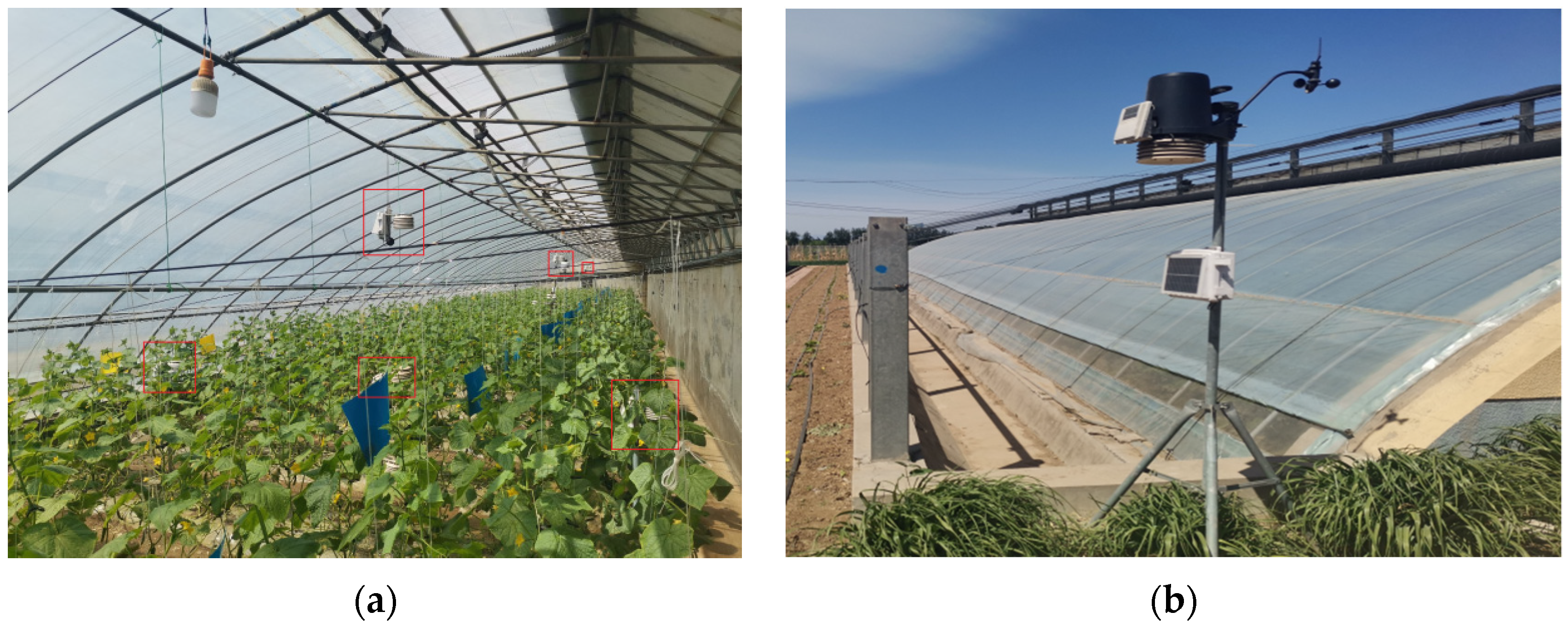 Agronomy 12 00442 g002 550