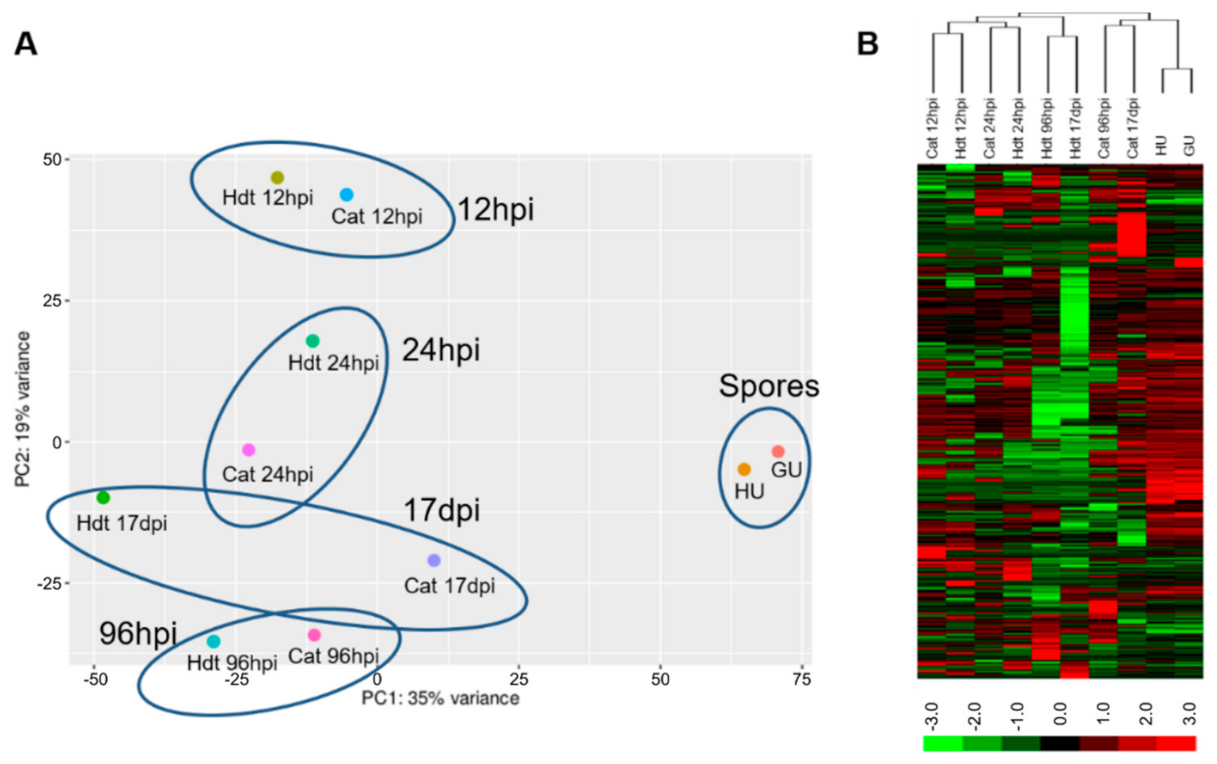 Agronomy 12 00444 g003 Agronomy 12 00444 g003