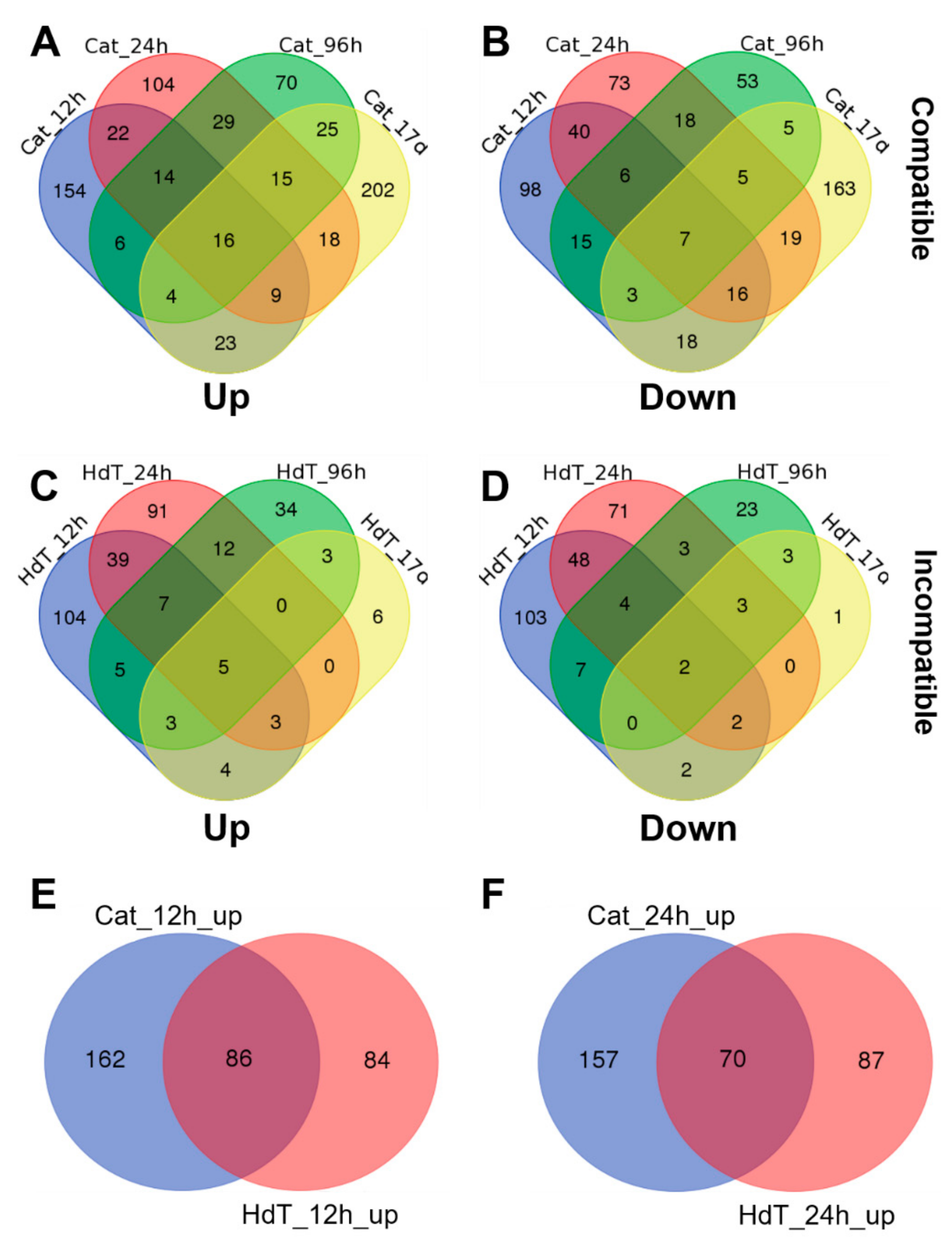 Agronomy 12 00444 g004 Agronomy 12 00444 g004