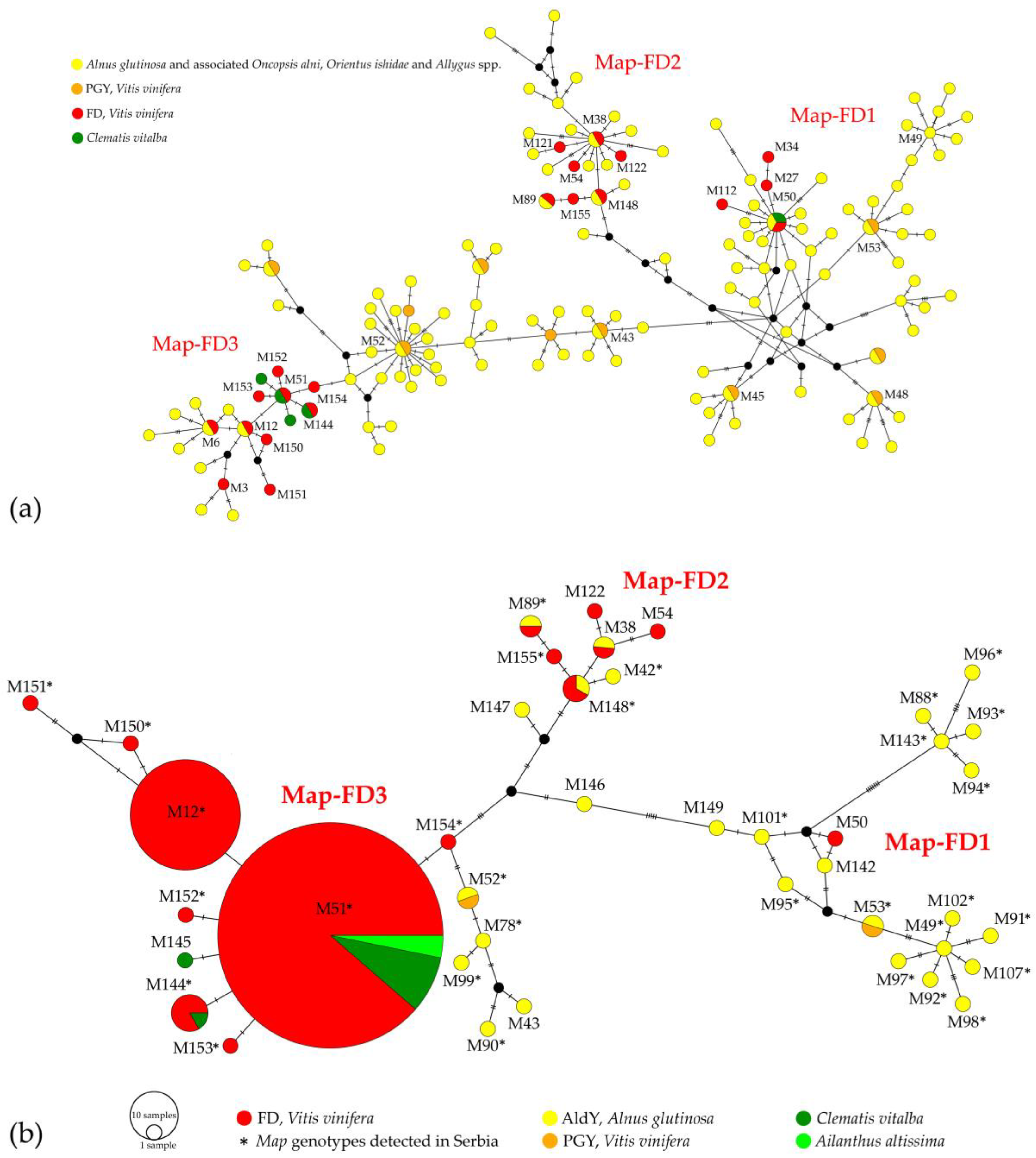 Agronomy 12 00448 g002 Agronomy 12 00448 g002