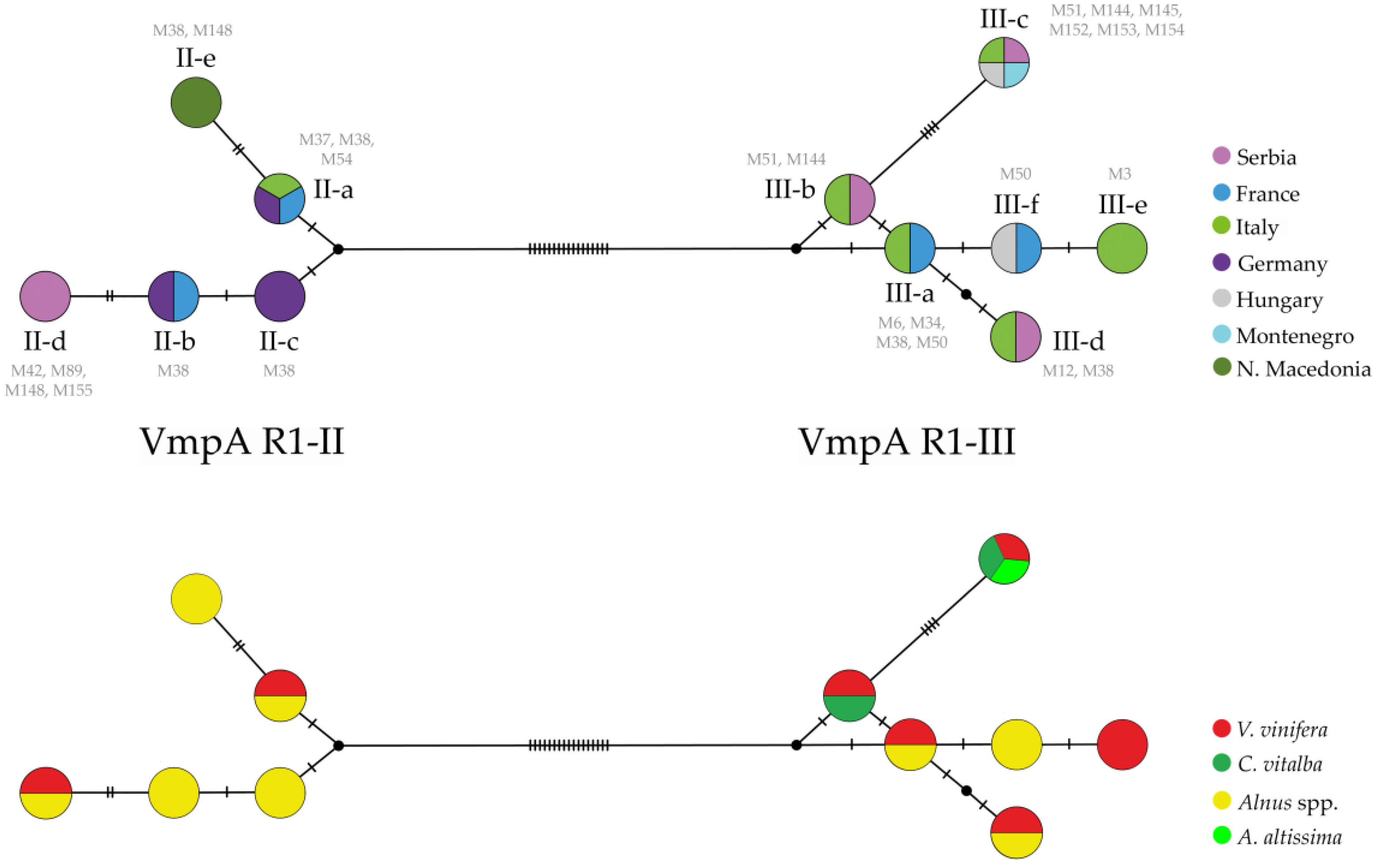 Agronomy 12 00448 g004 Agronomy 12 00448 g004
