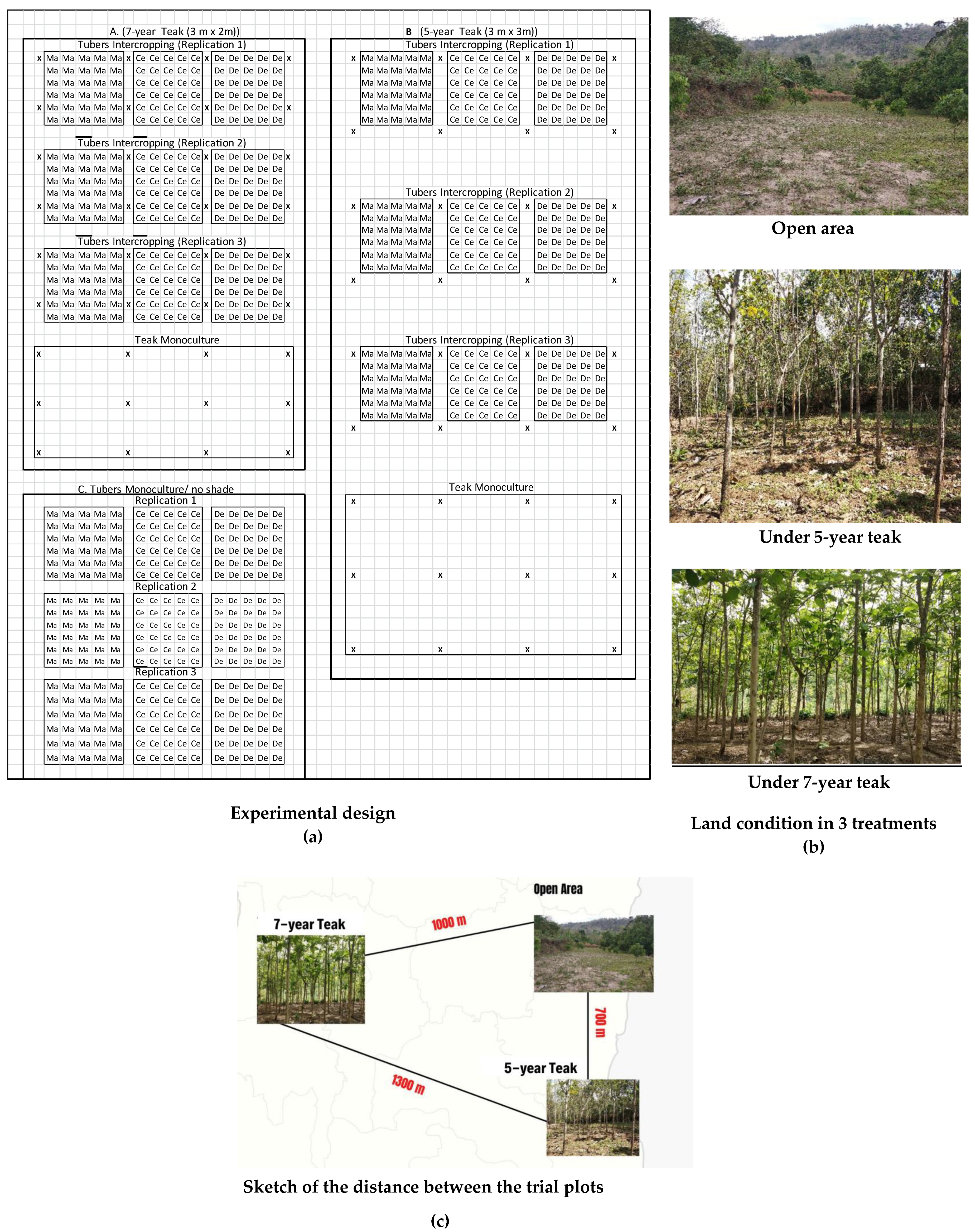 Agronomy 12 00449 g002 Agronomy 12 00449 g002