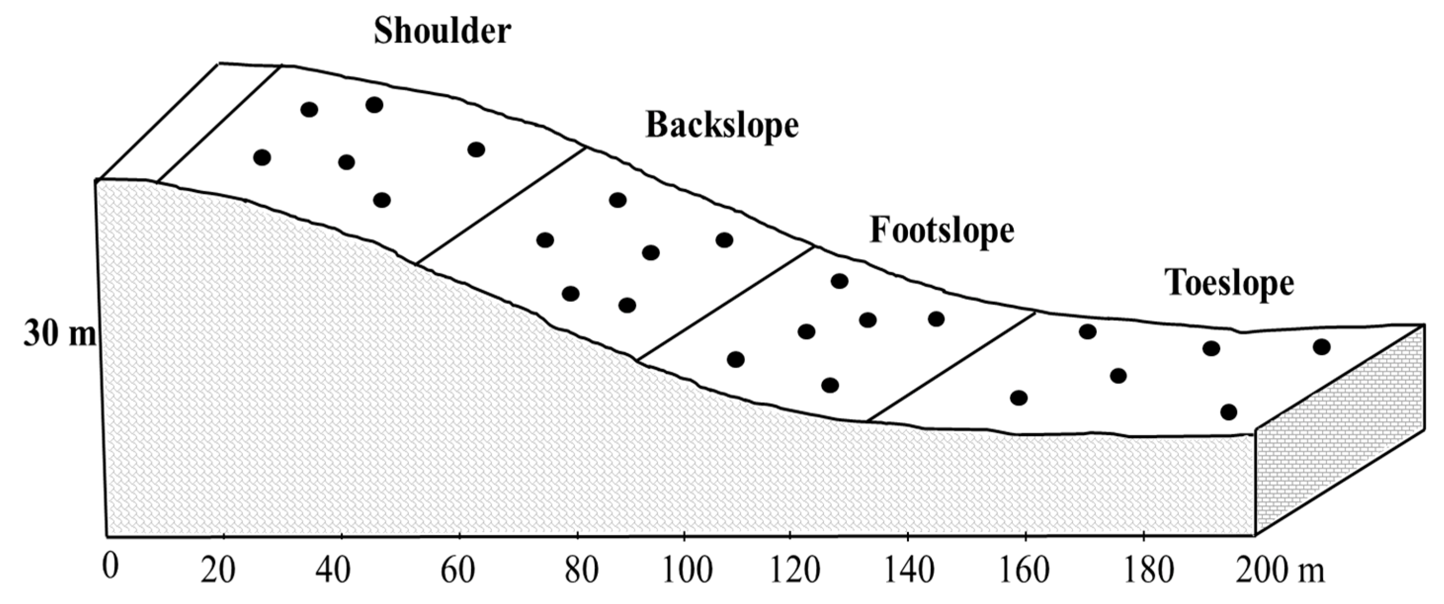 Agronomy 12 00451 g002 550
