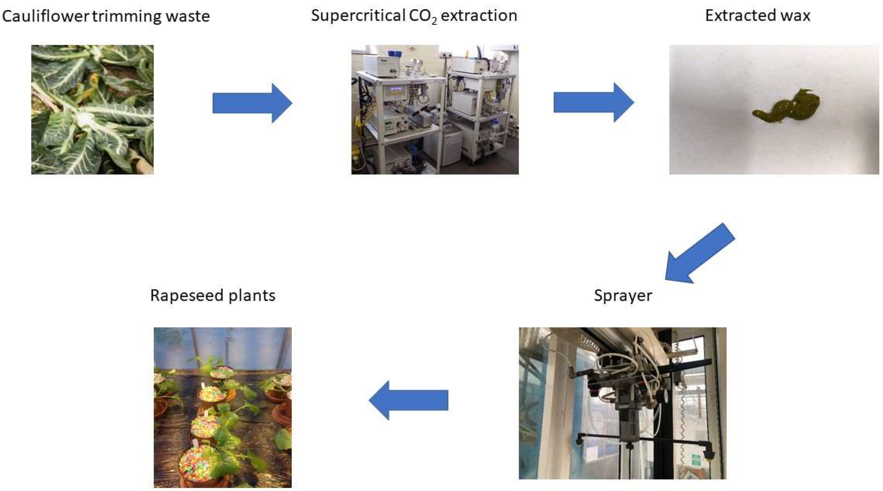 Agronomy 12 00455 g001 550