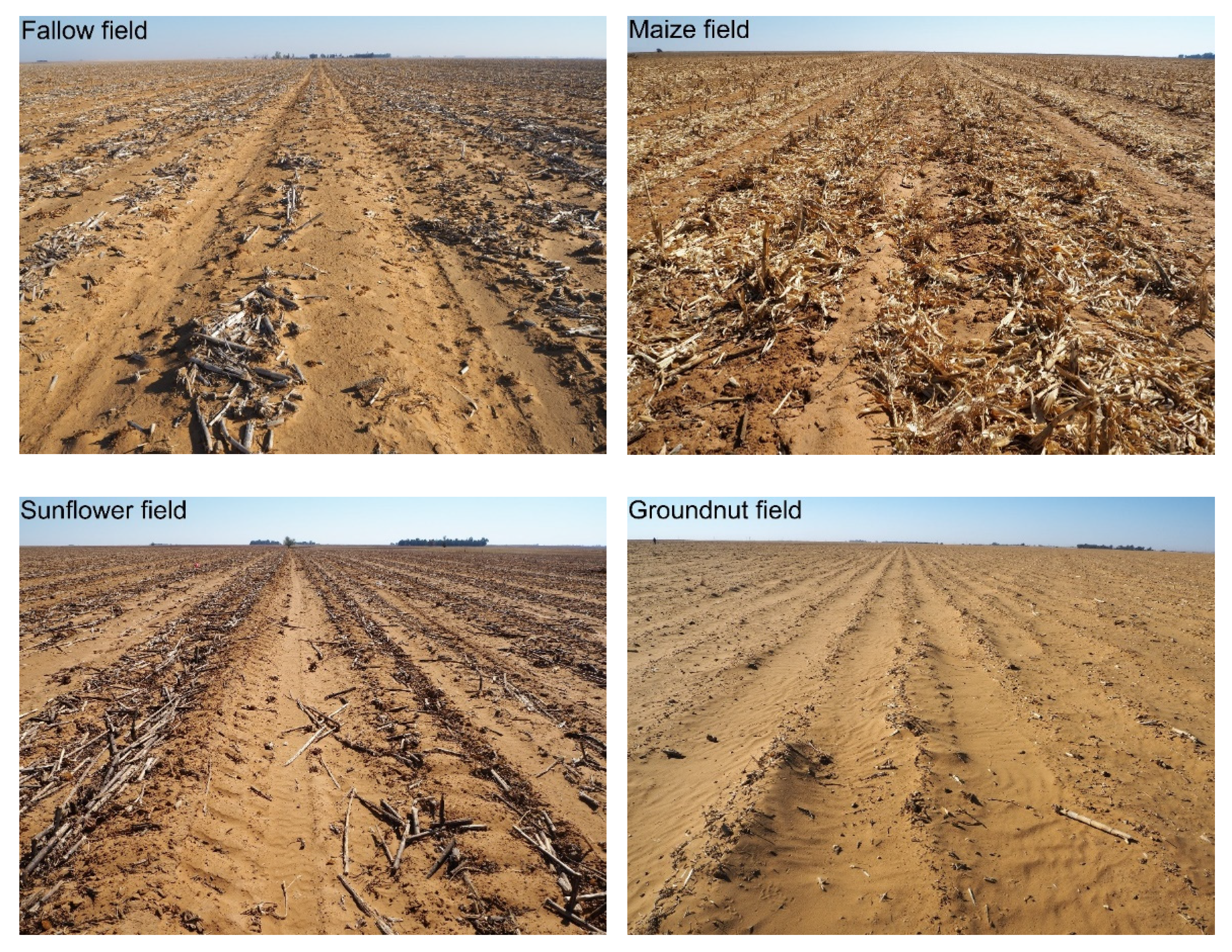 Agronomy 12 00457 g004