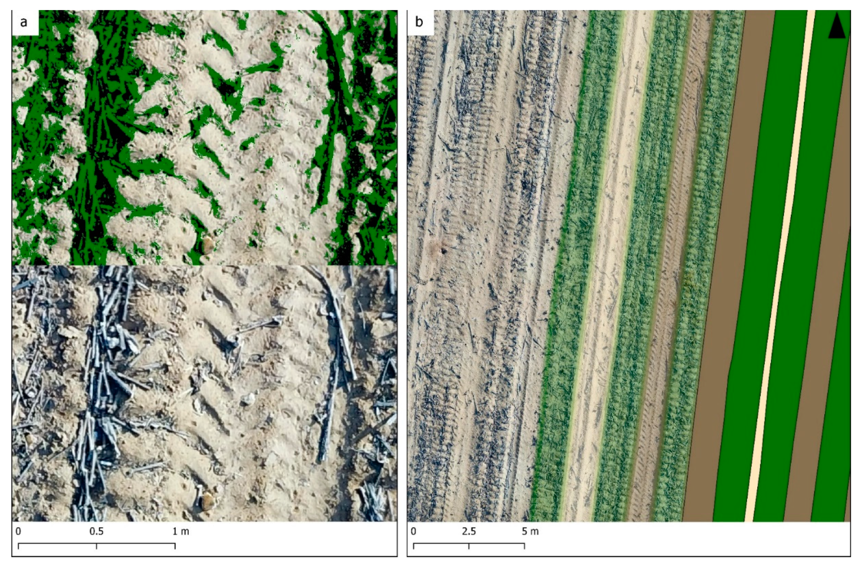 Agronomy 12 00457 g005
