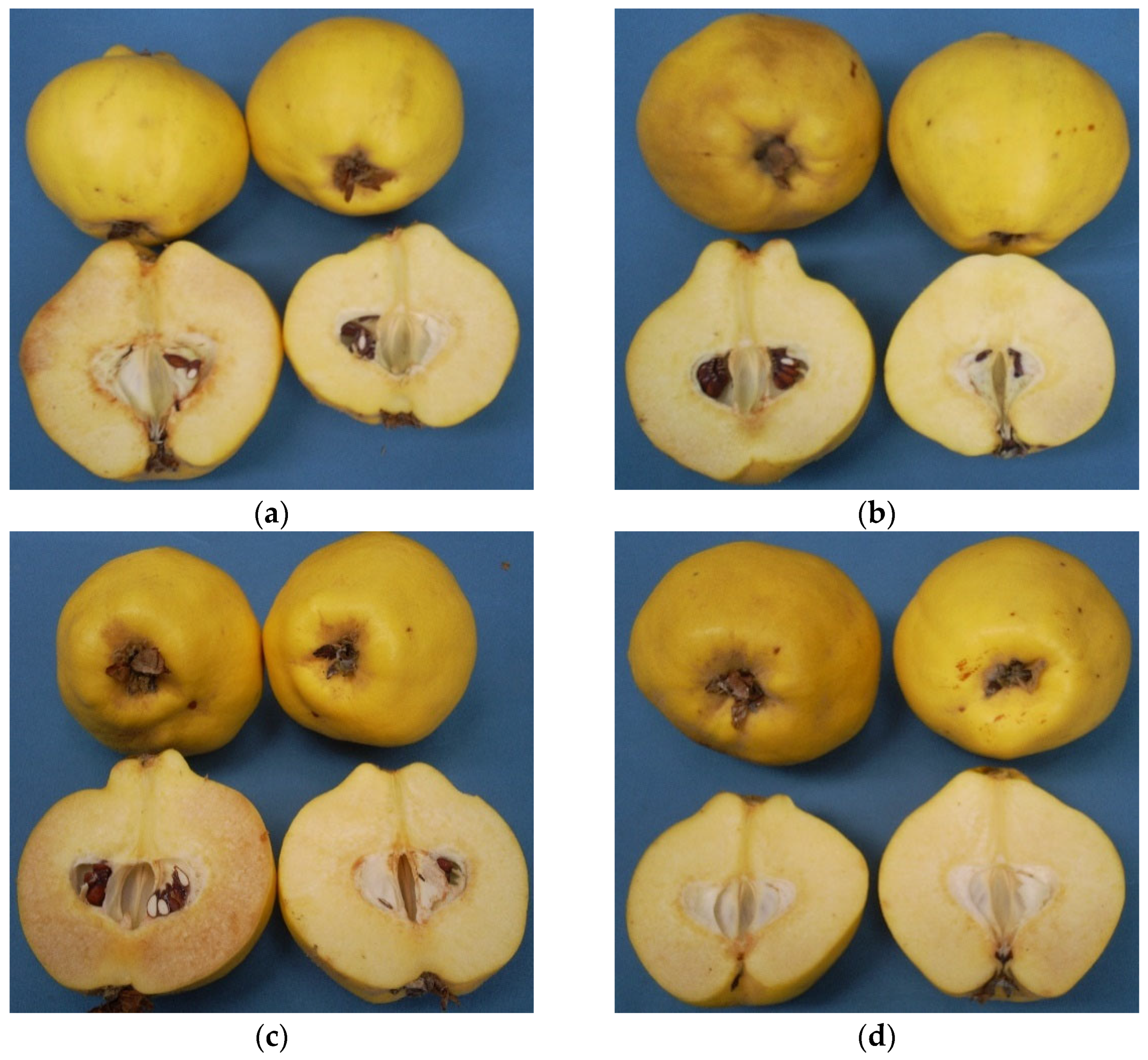 Agronomy 12 00458 g004 Agronomy 12 00458 g004