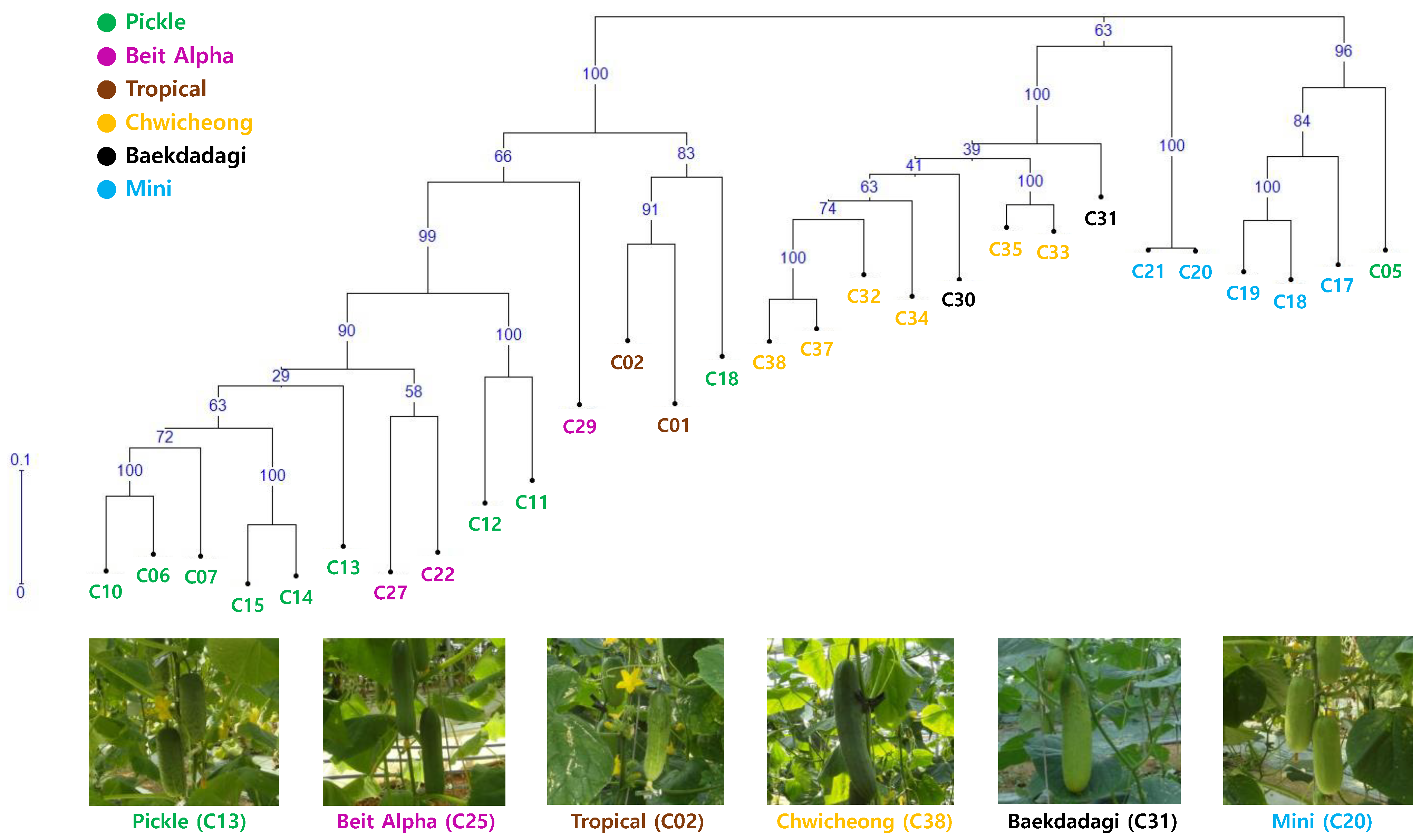 Agronomy 12 00487 g002
