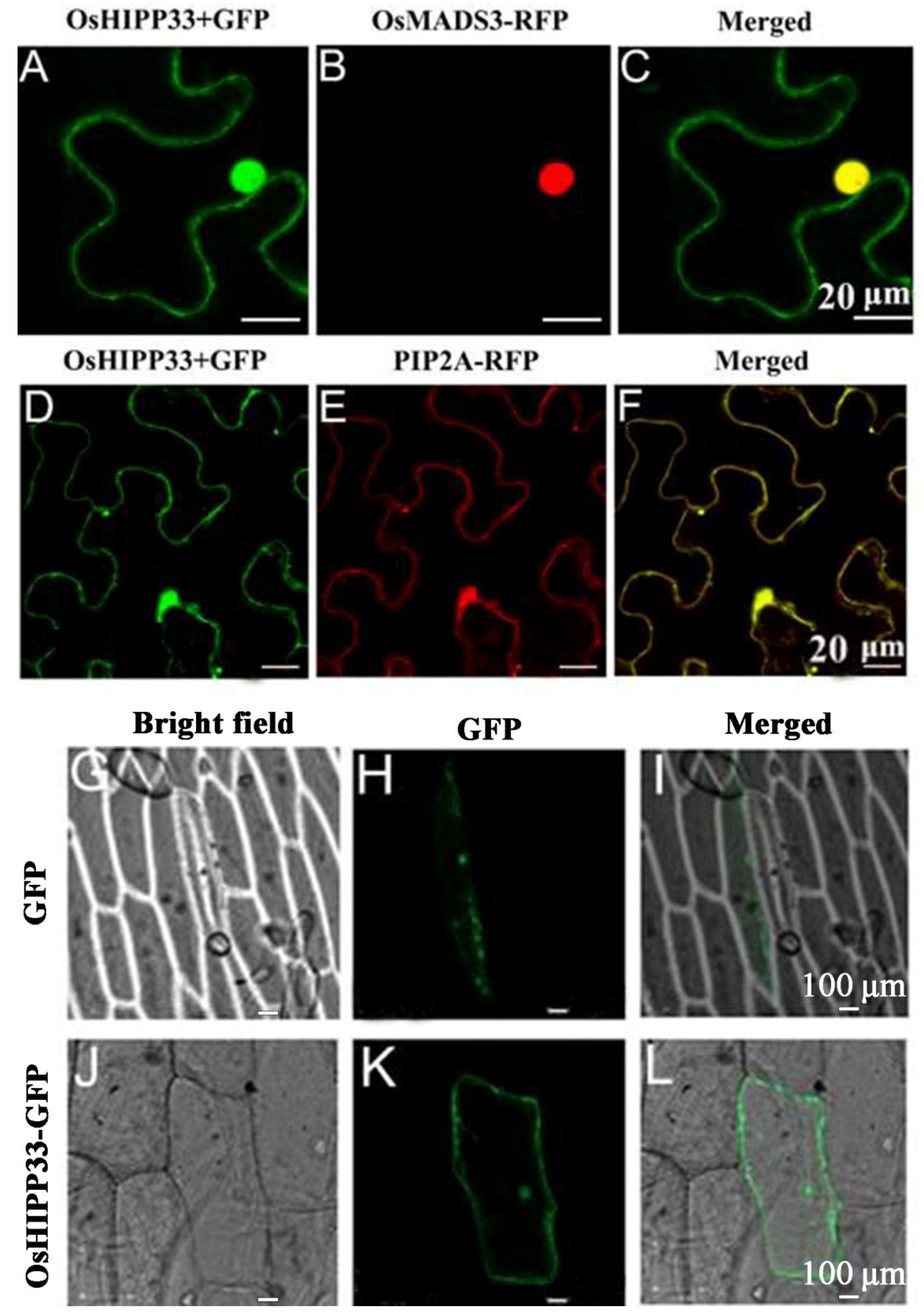 Agronomy 12 00488 g002