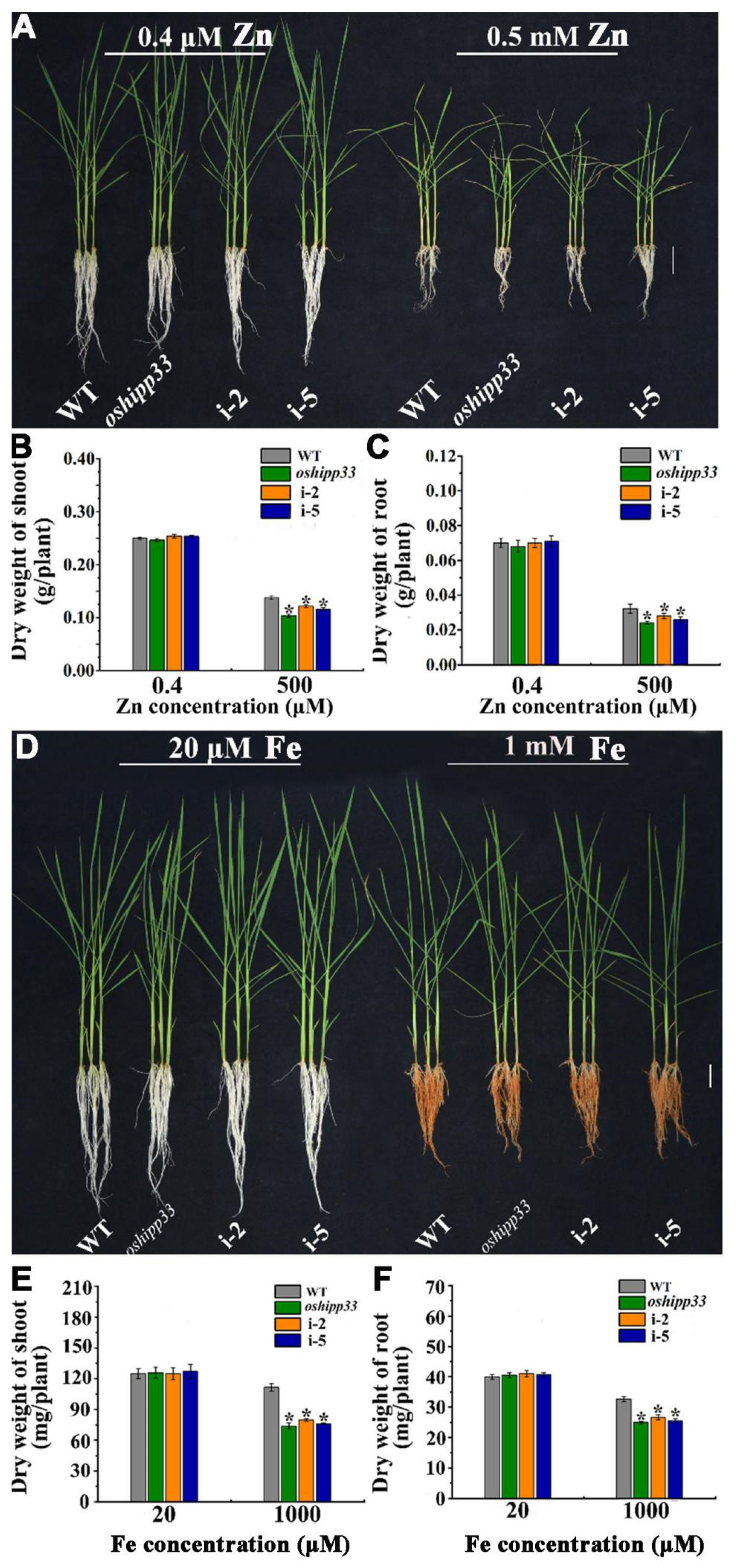 Agronomy 12 00488 g006