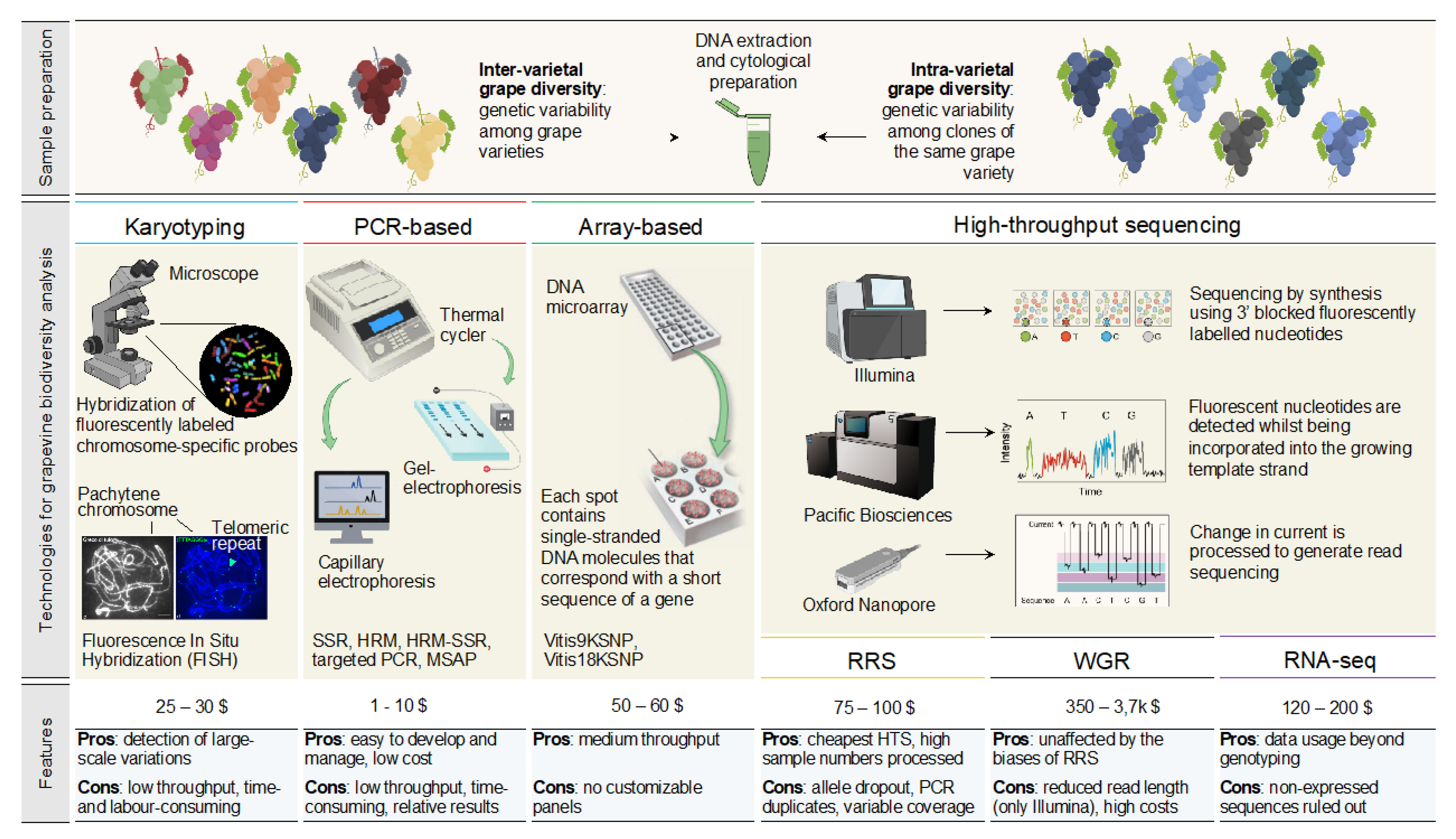 Agronomy 12 00491 g001