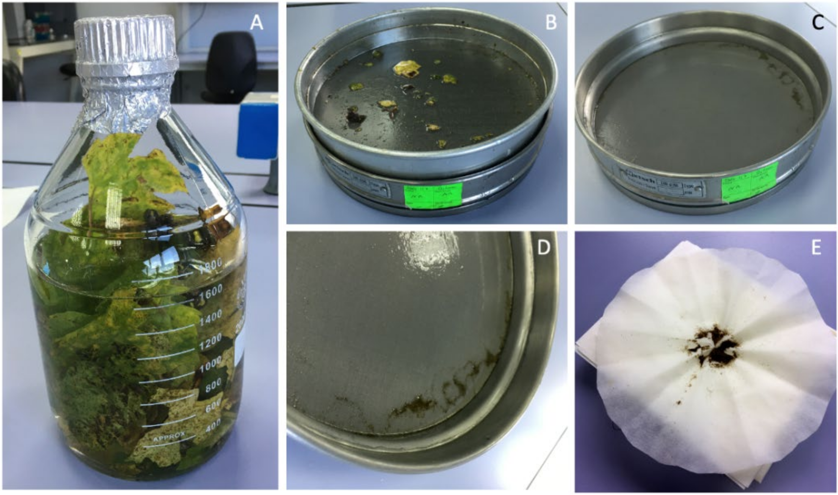 Agronomy 12 00495 g002 Agronomy 12 00495 g002
