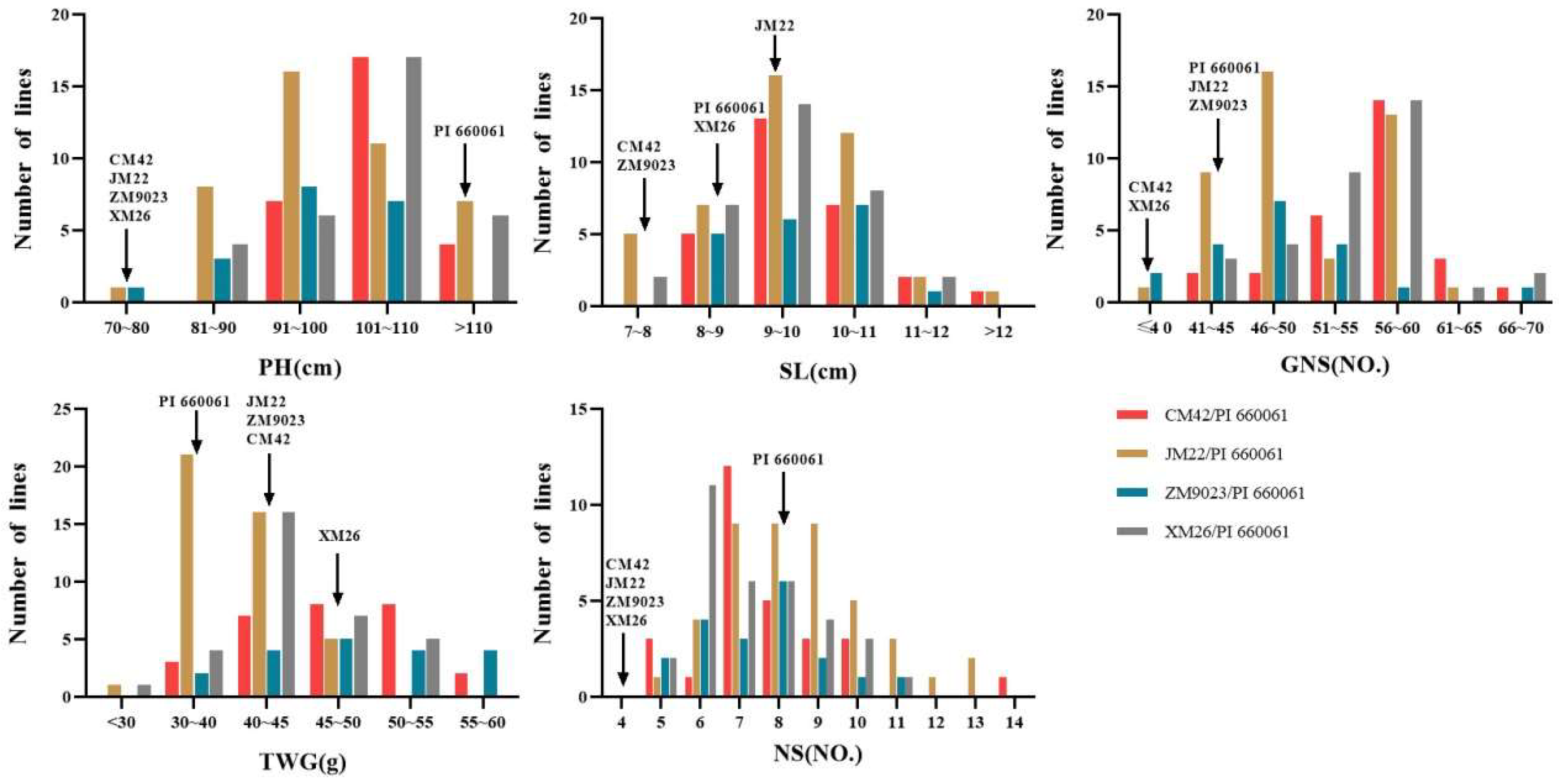 Agronomy 12 00497 g006 550