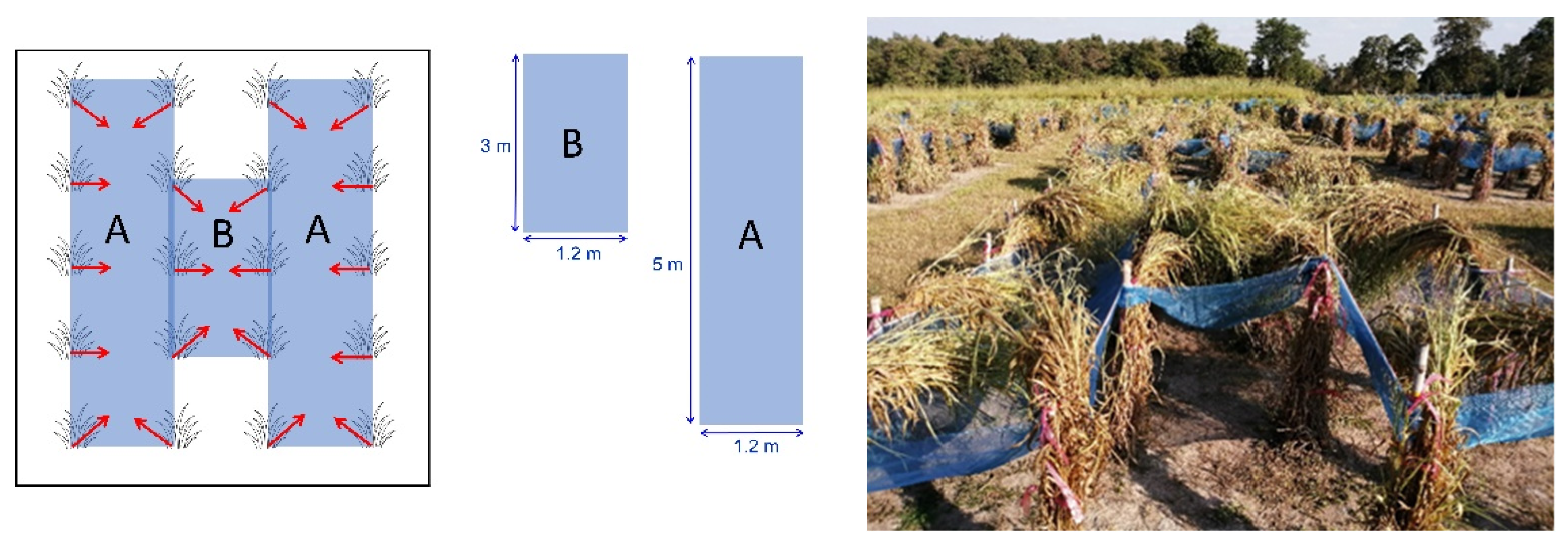 Agronomy 12 00513 g002