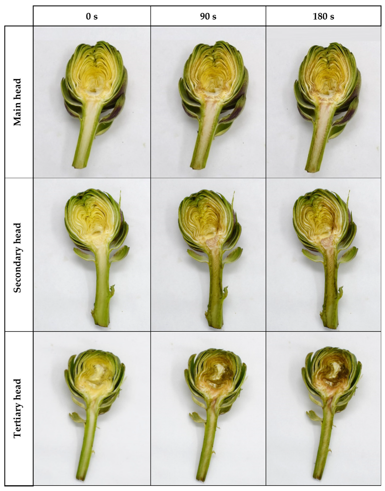 Agronomy 12 00515 g003 550