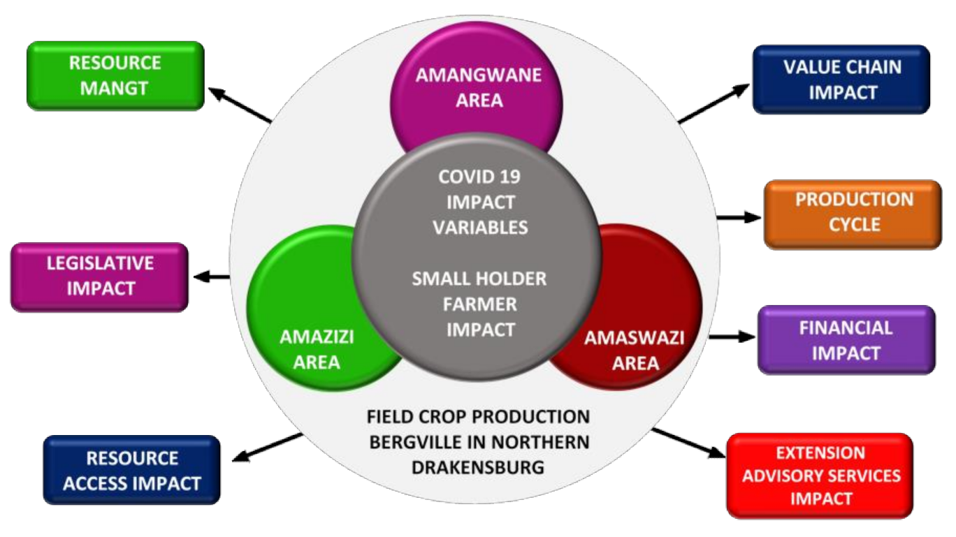 Agronomy 12 00531 g002 550