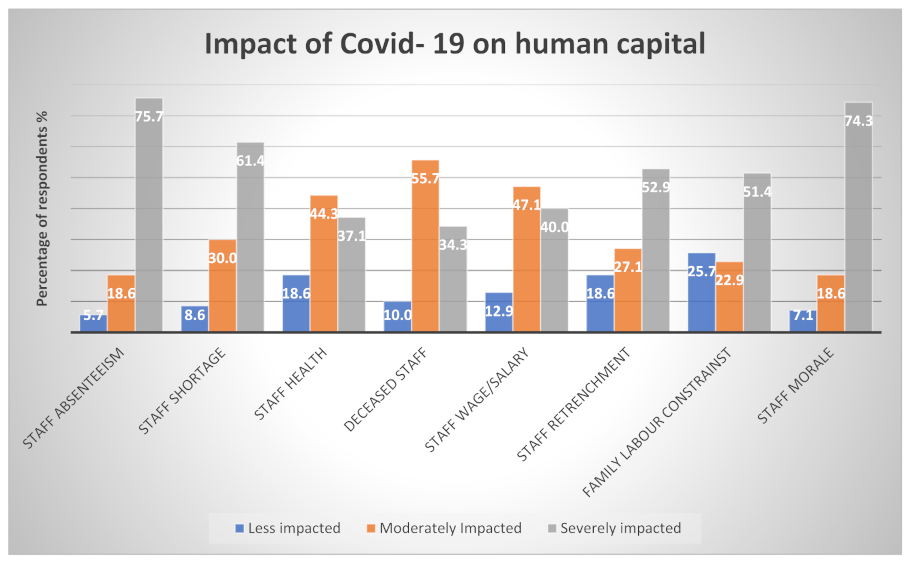 Agronomy 12 00531 g005 550