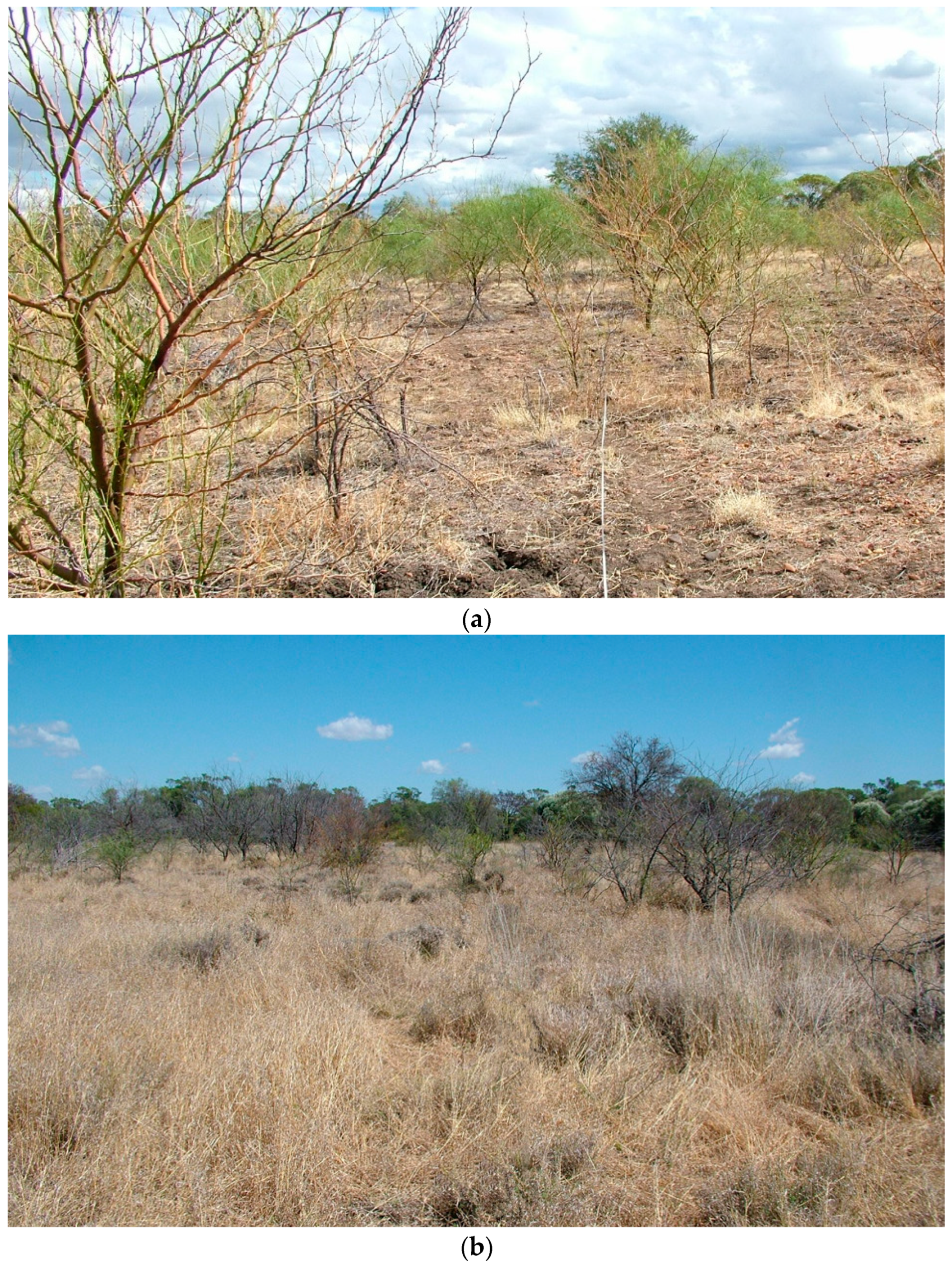 Agronomy 12 00533 g006