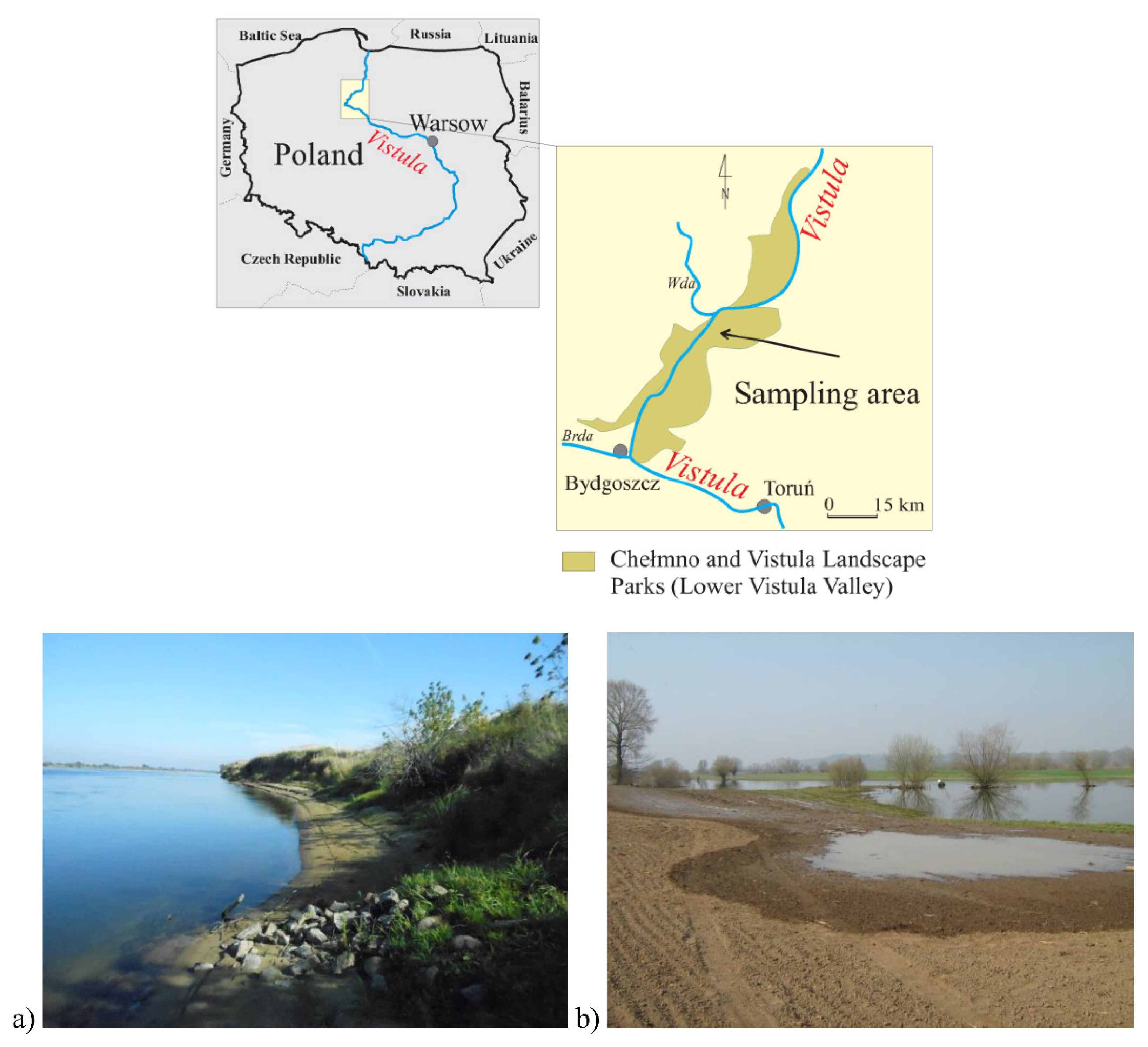 Agronomy 12 00536 g001 550