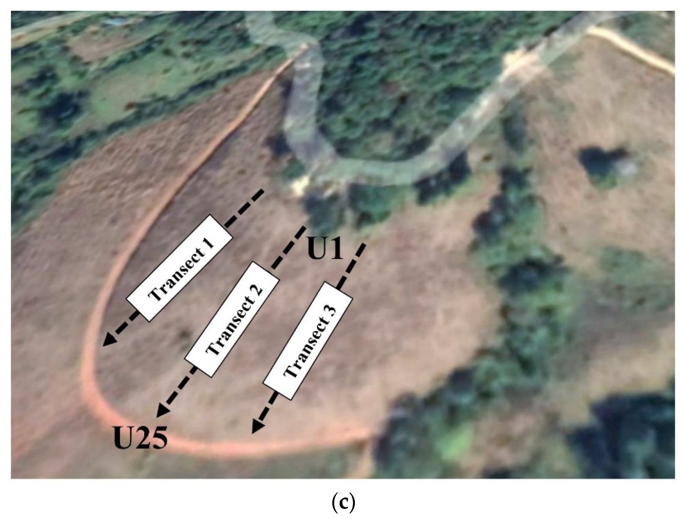 Agronomy 12 00537 g001b