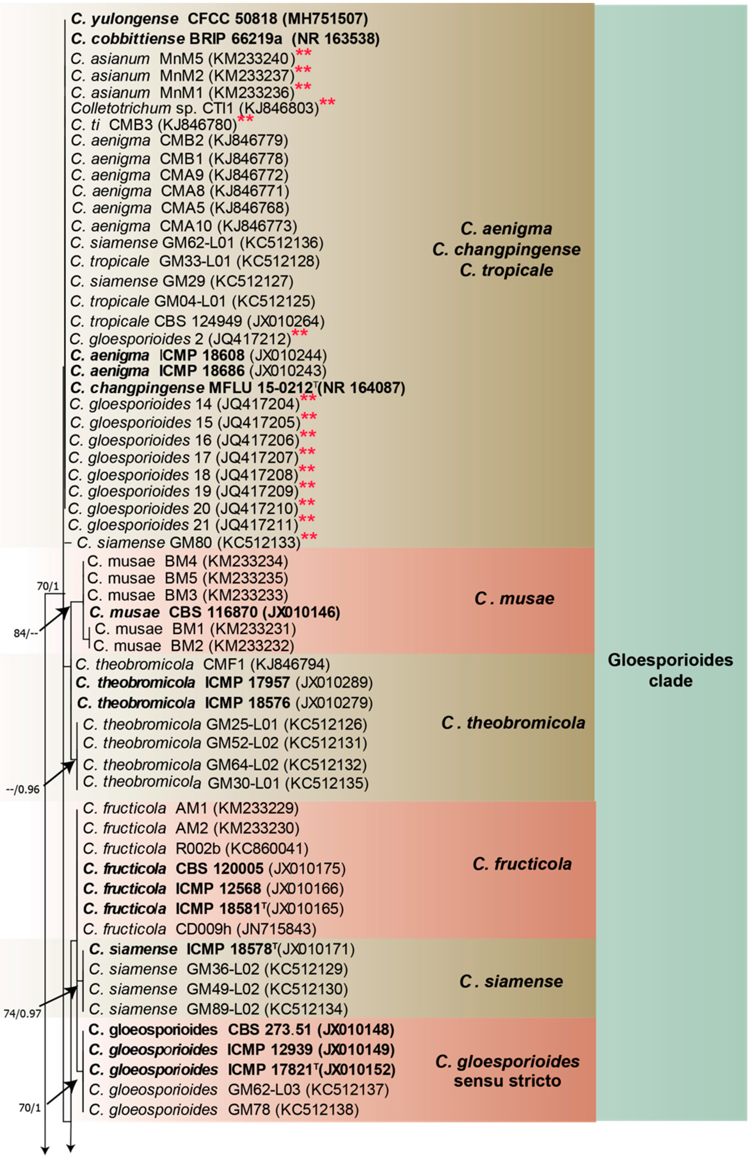 Agronomy 12 00548 g002a