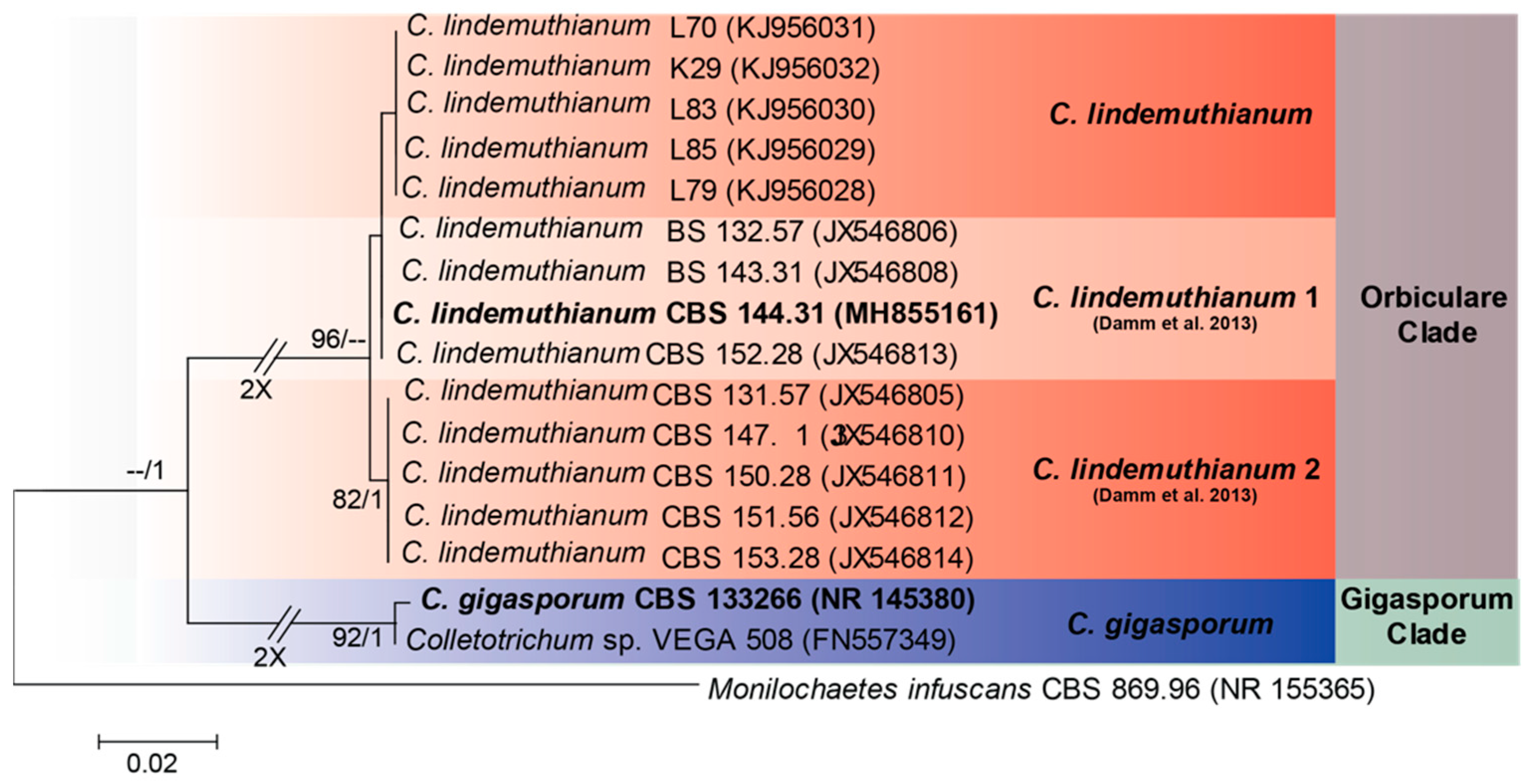 Agronomy 12 00548 g004