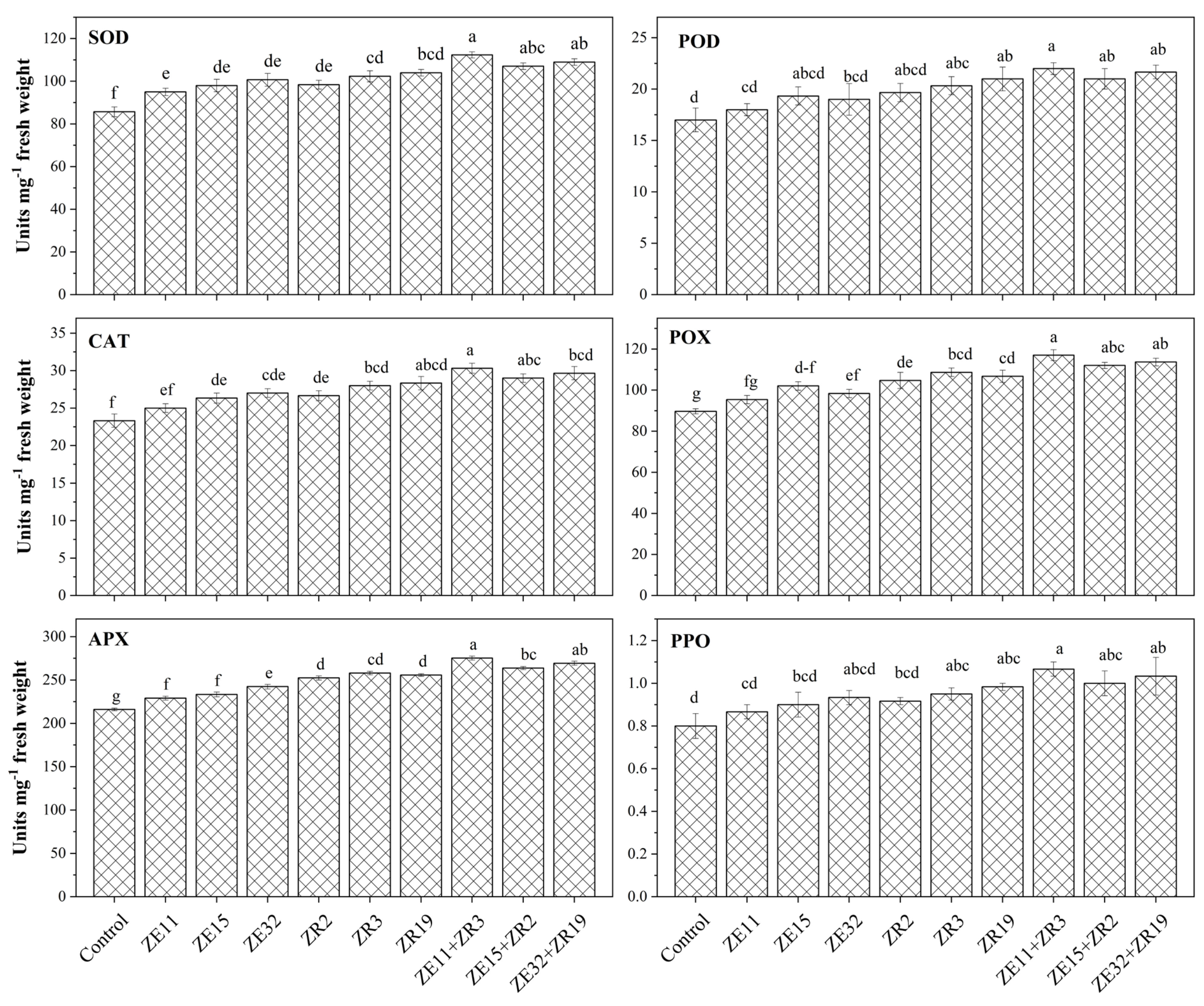 Agronomy 12 00551 g002 550