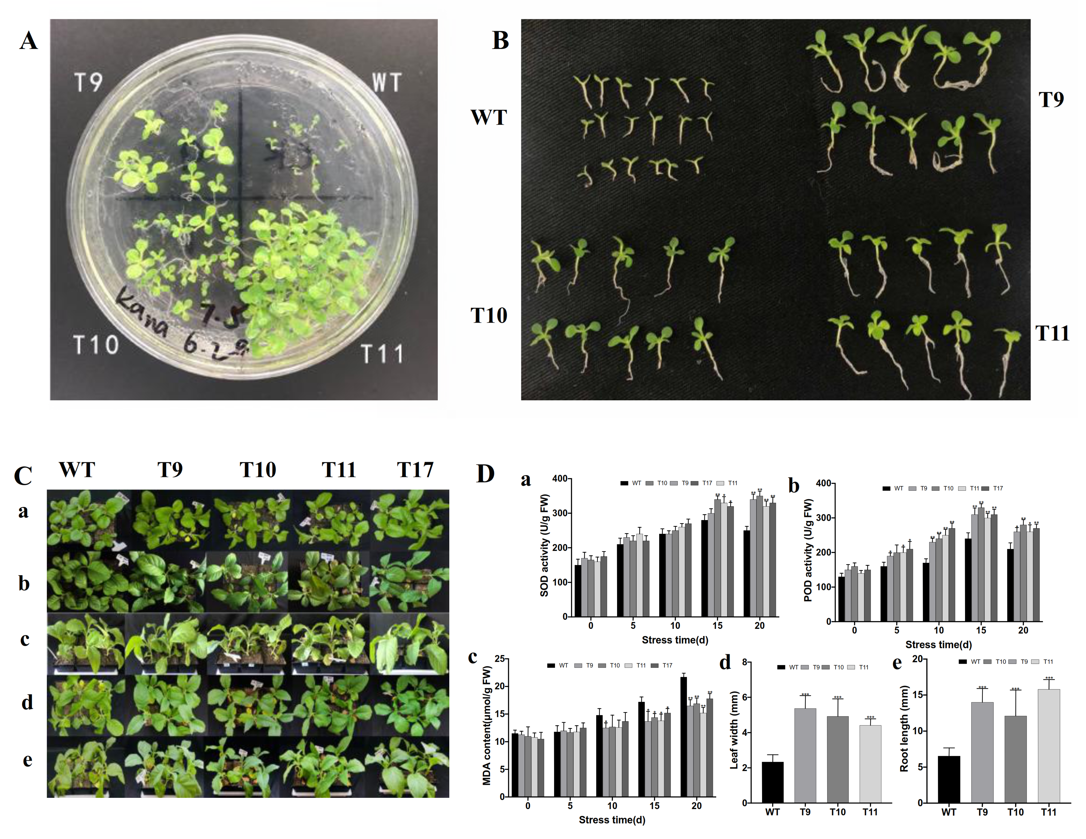 Agronomy 12 00556 g006 550