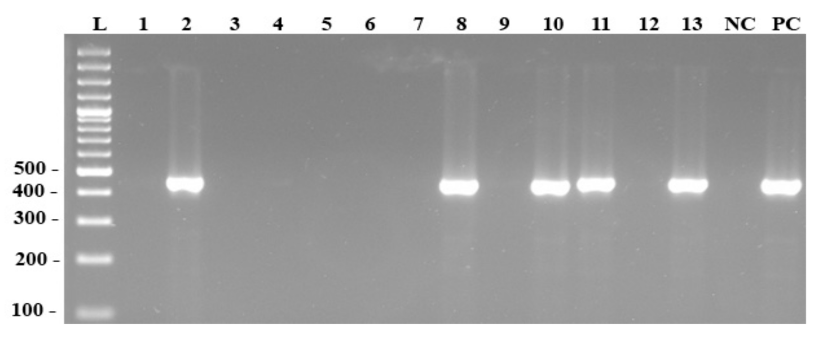 Agronomy 12 00558 g006 550