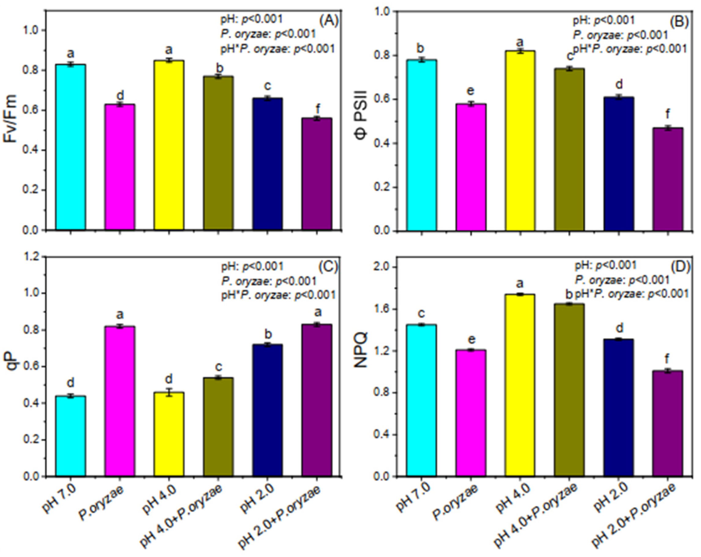 Agronomy 12 00567 g003