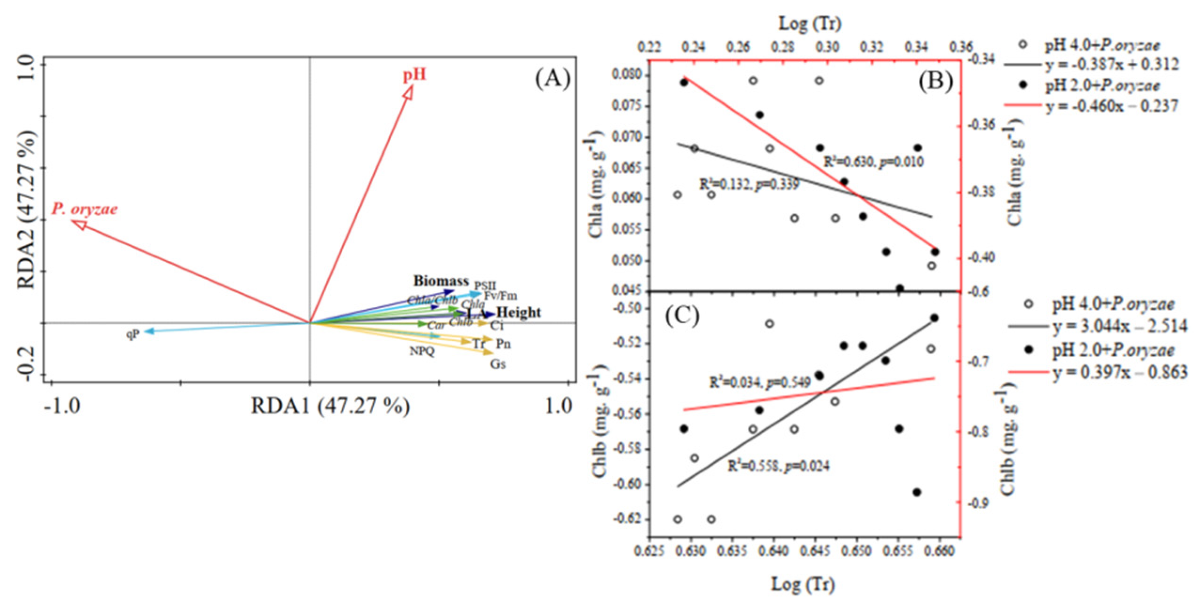 Agronomy 12 00567 g005